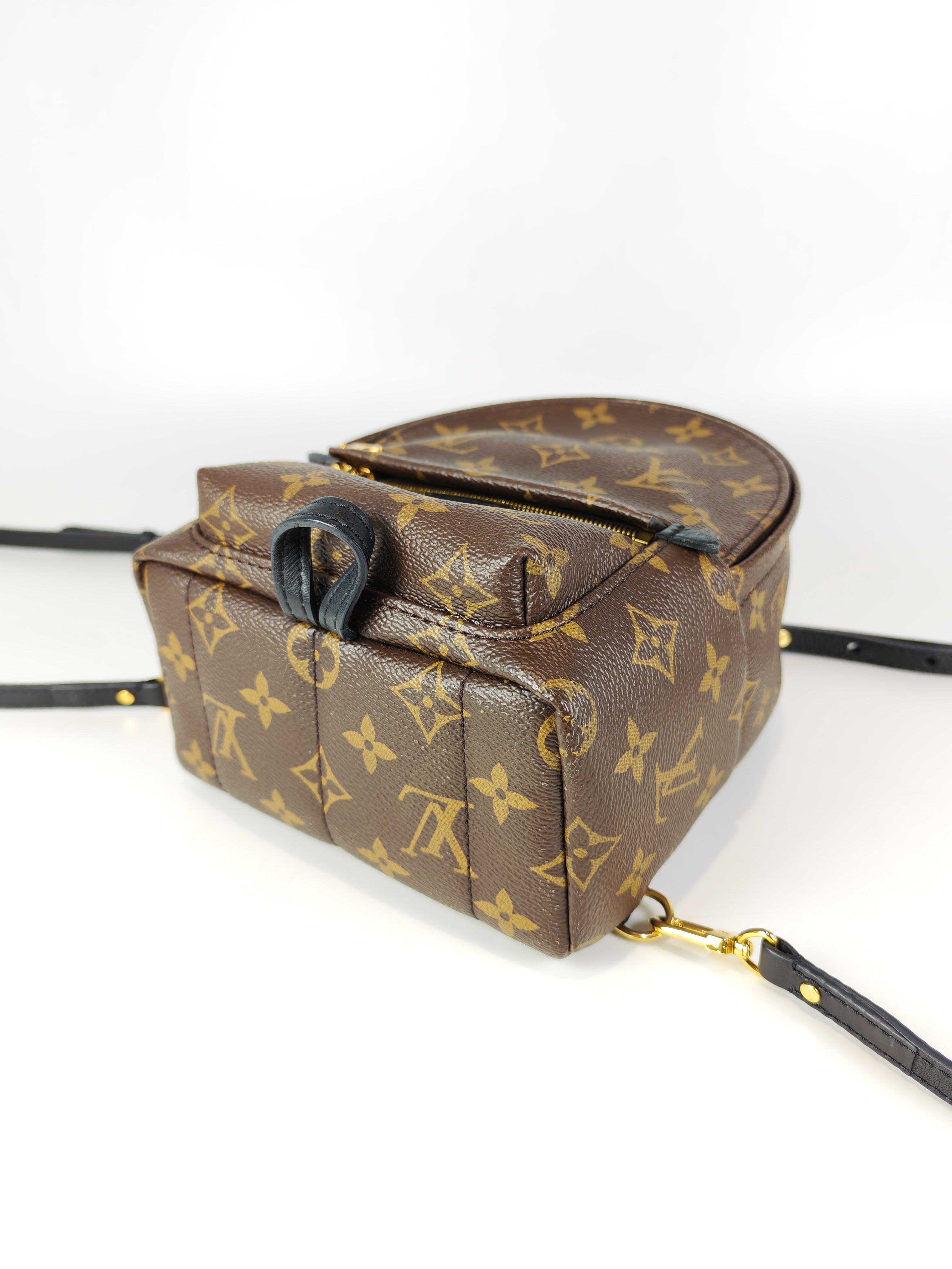 Palm Spring Mini in Monogram Canvas (Date code: CA1148)