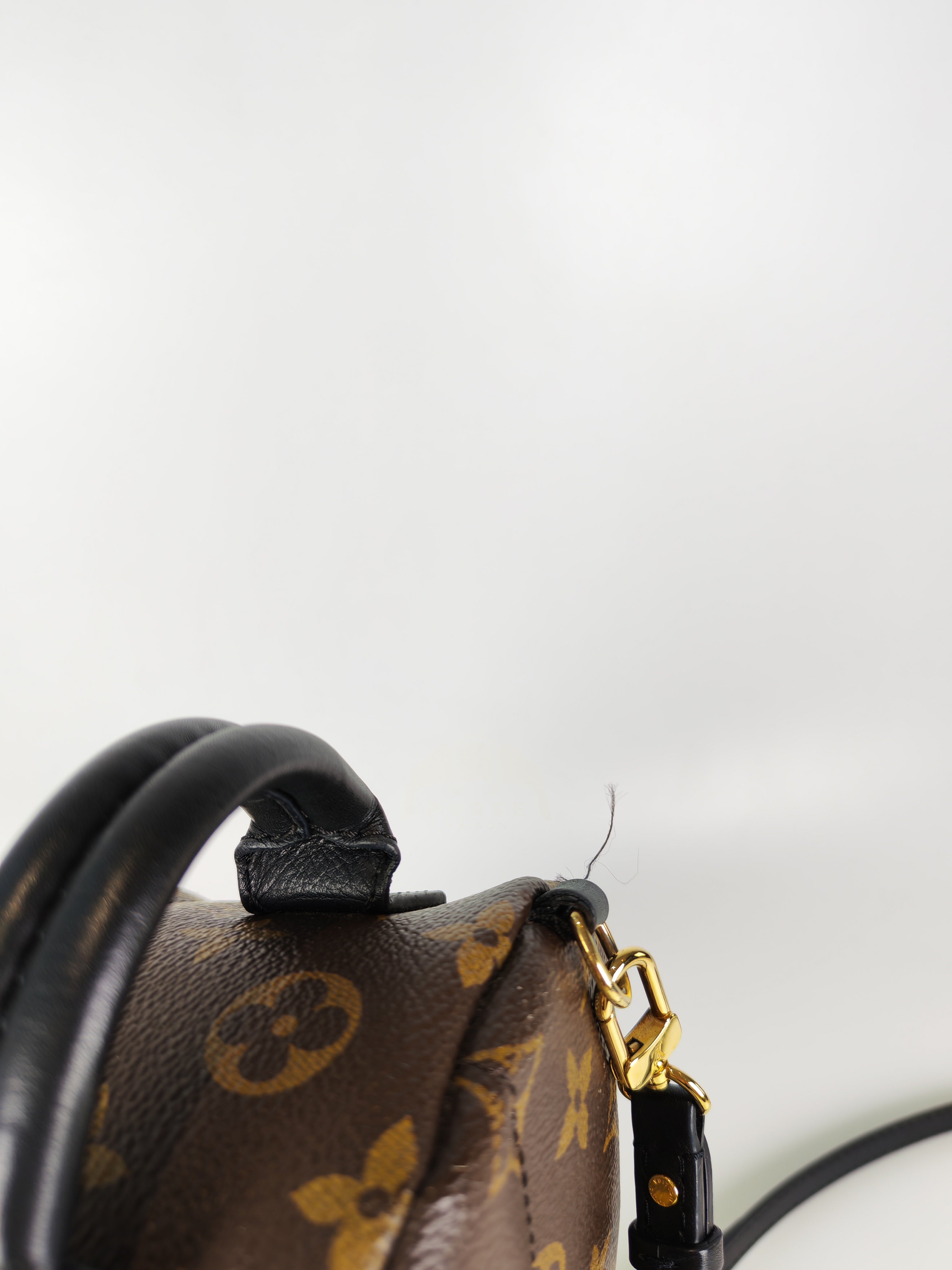 Palm Spring Mini in Monogram Canvas (Date code: CA1148)