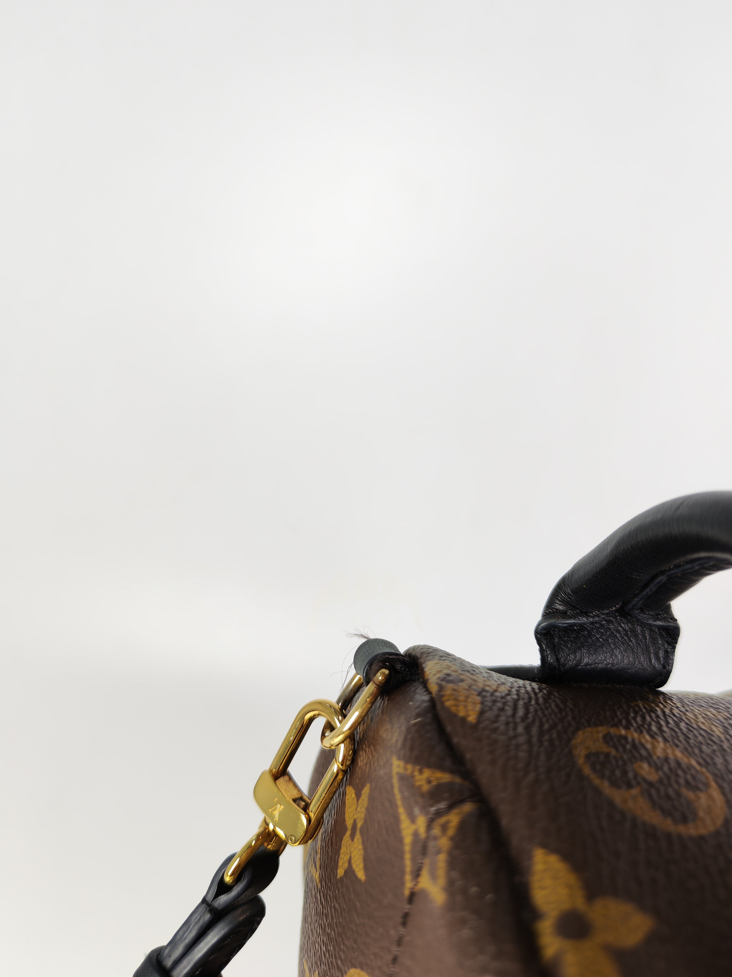 Palm Spring Mini in Monogram Canvas (Date code: CA1148)