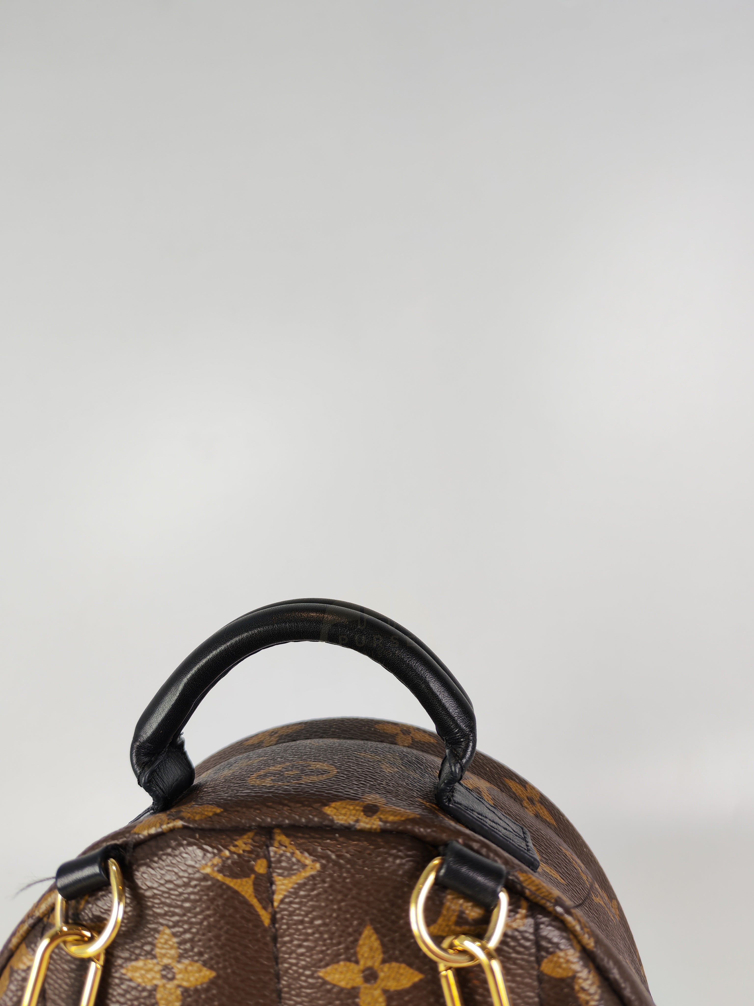 Palm Spring Mini in Monogram Canvas (Date code: CA1148)