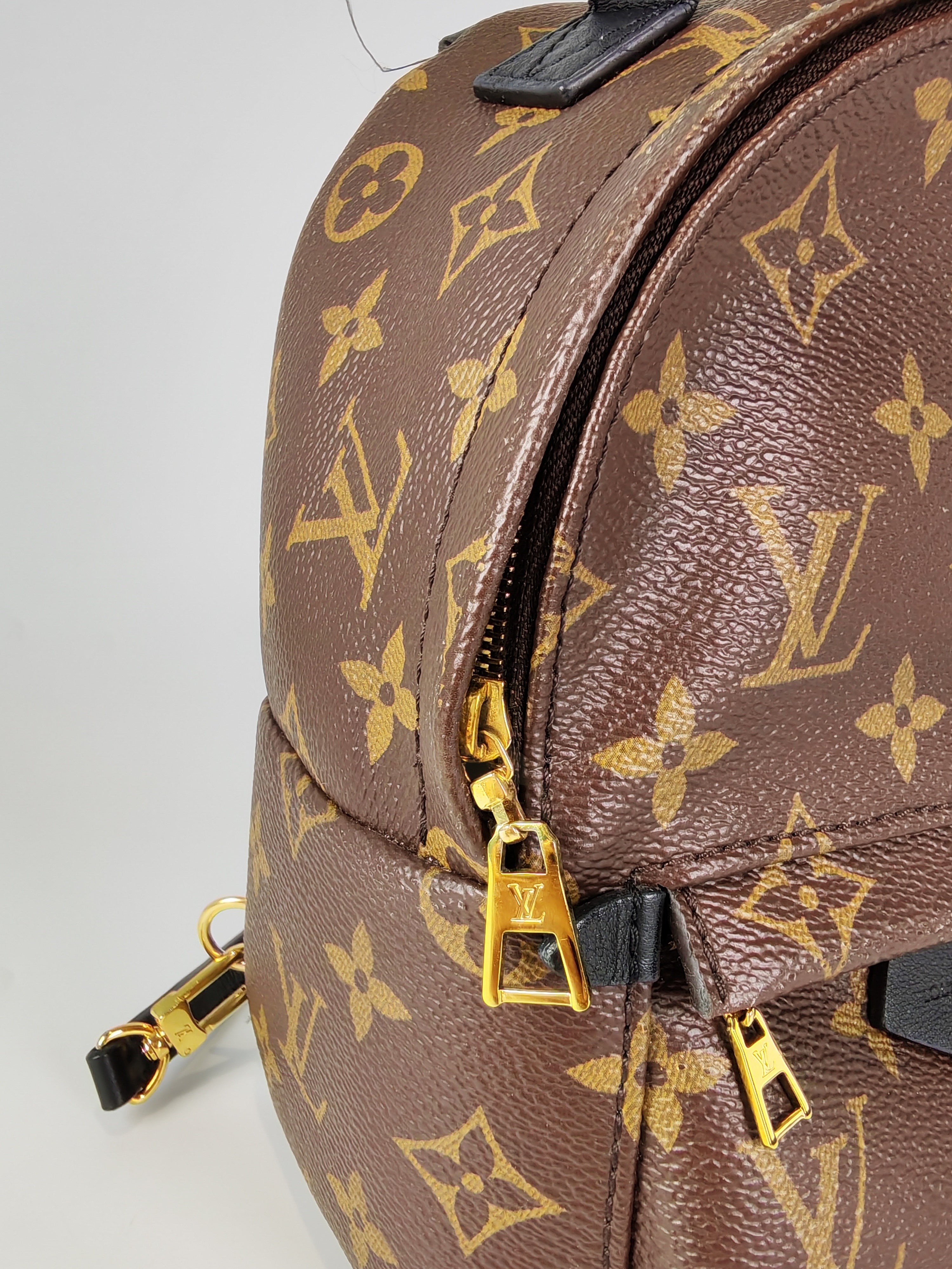 Palm Spring Mini in Monogram Canvas (Date code: CA1148)
