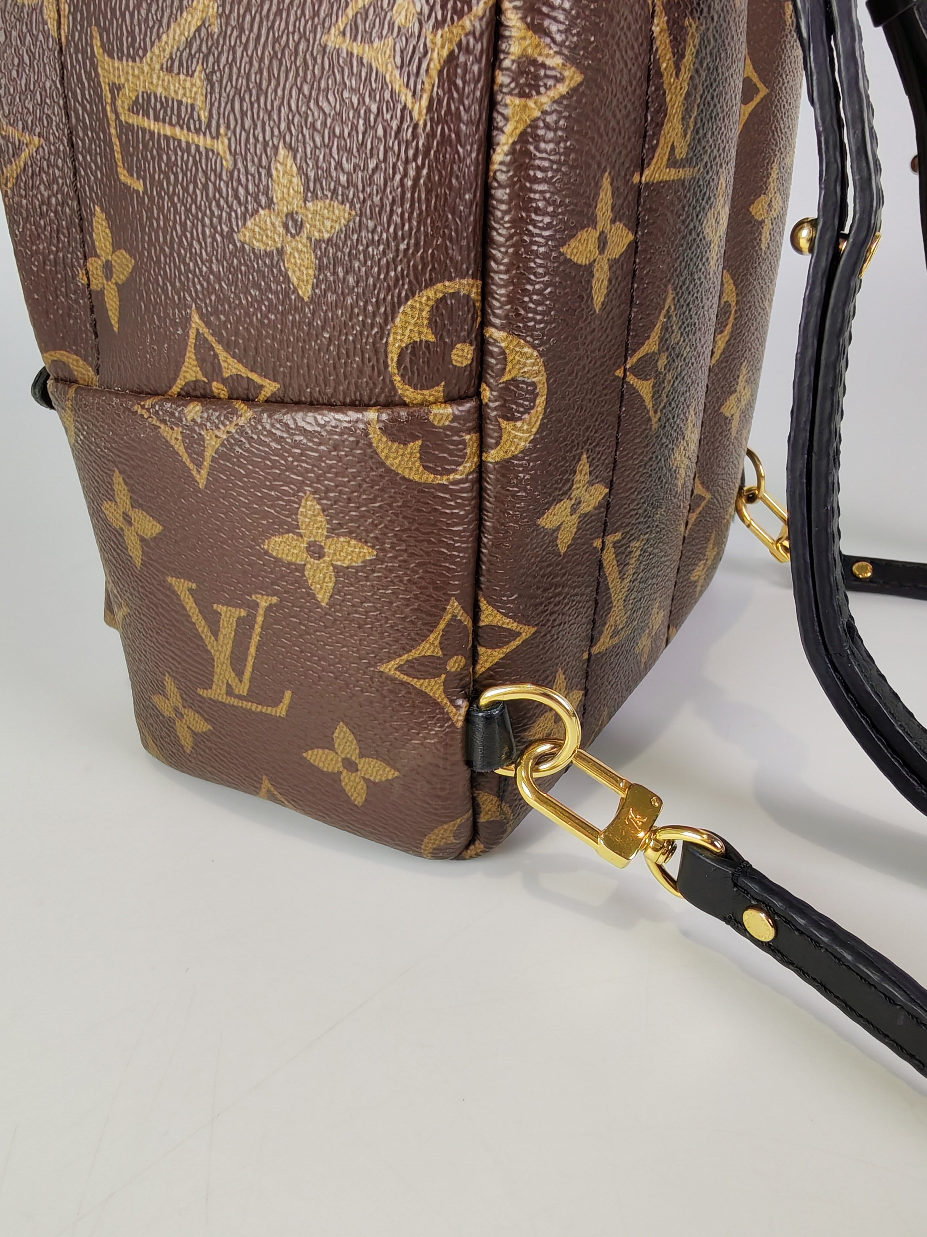 Palm Spring Mini in Monogram Canvas (Date code: CA1148)