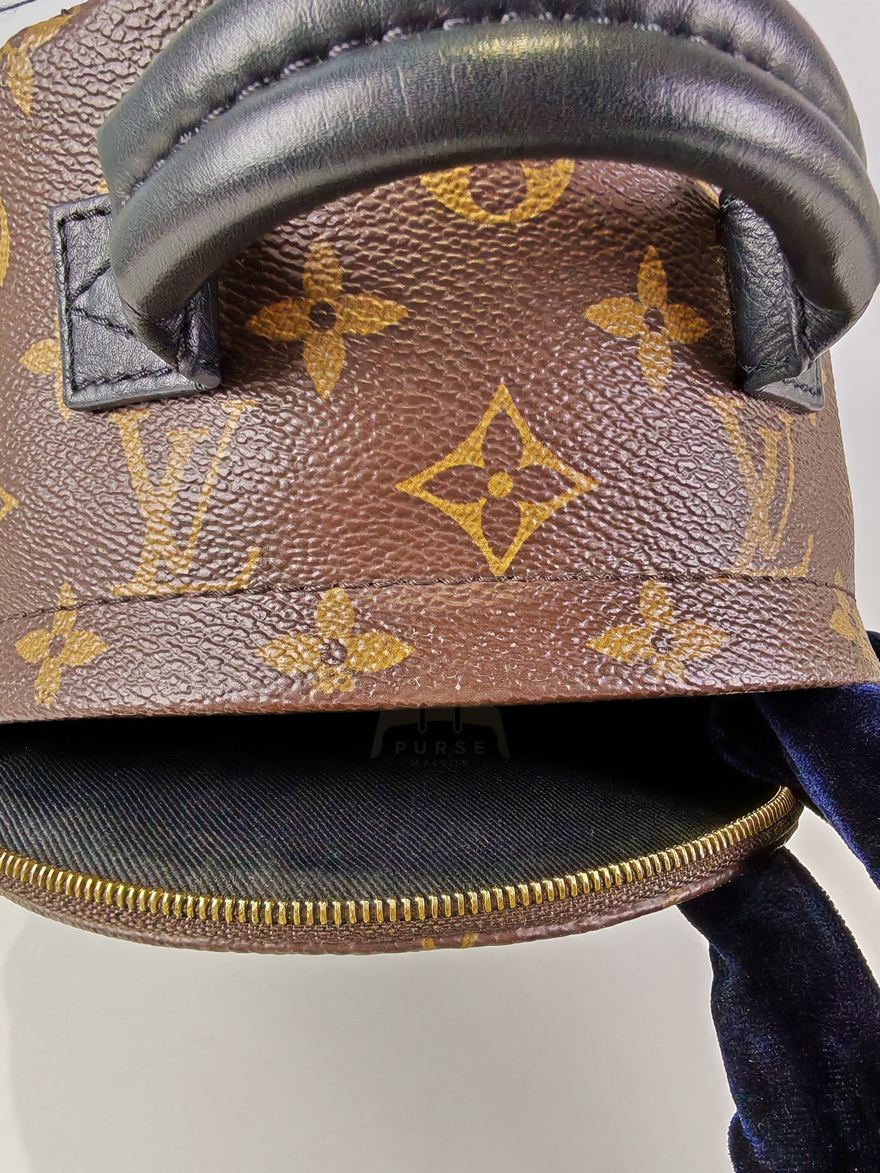 Palm Spring Mini in Monogram Canvas (Date code: CA1148)