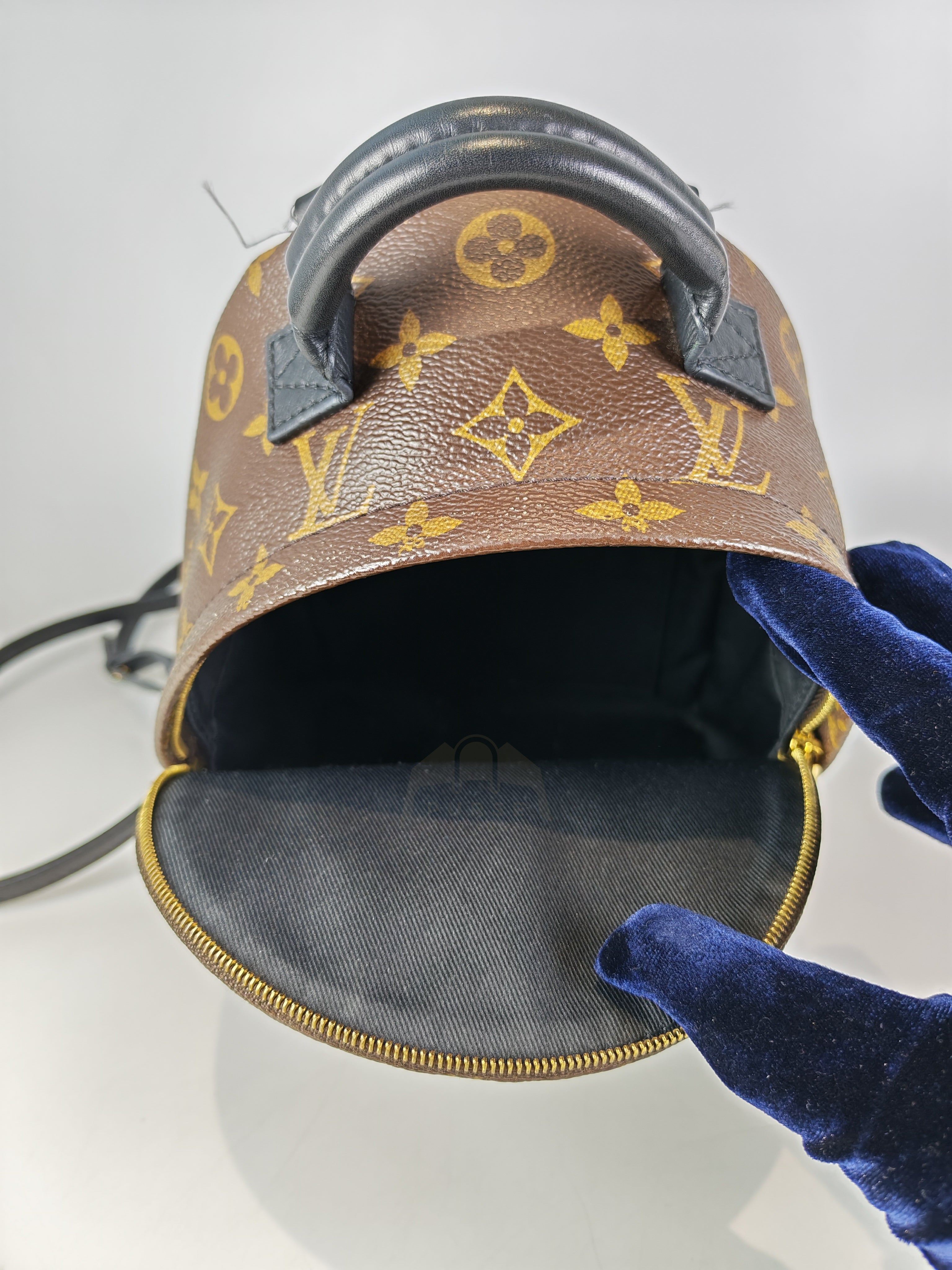 Palm Spring Mini in Monogram Canvas (Date code: CA1148)