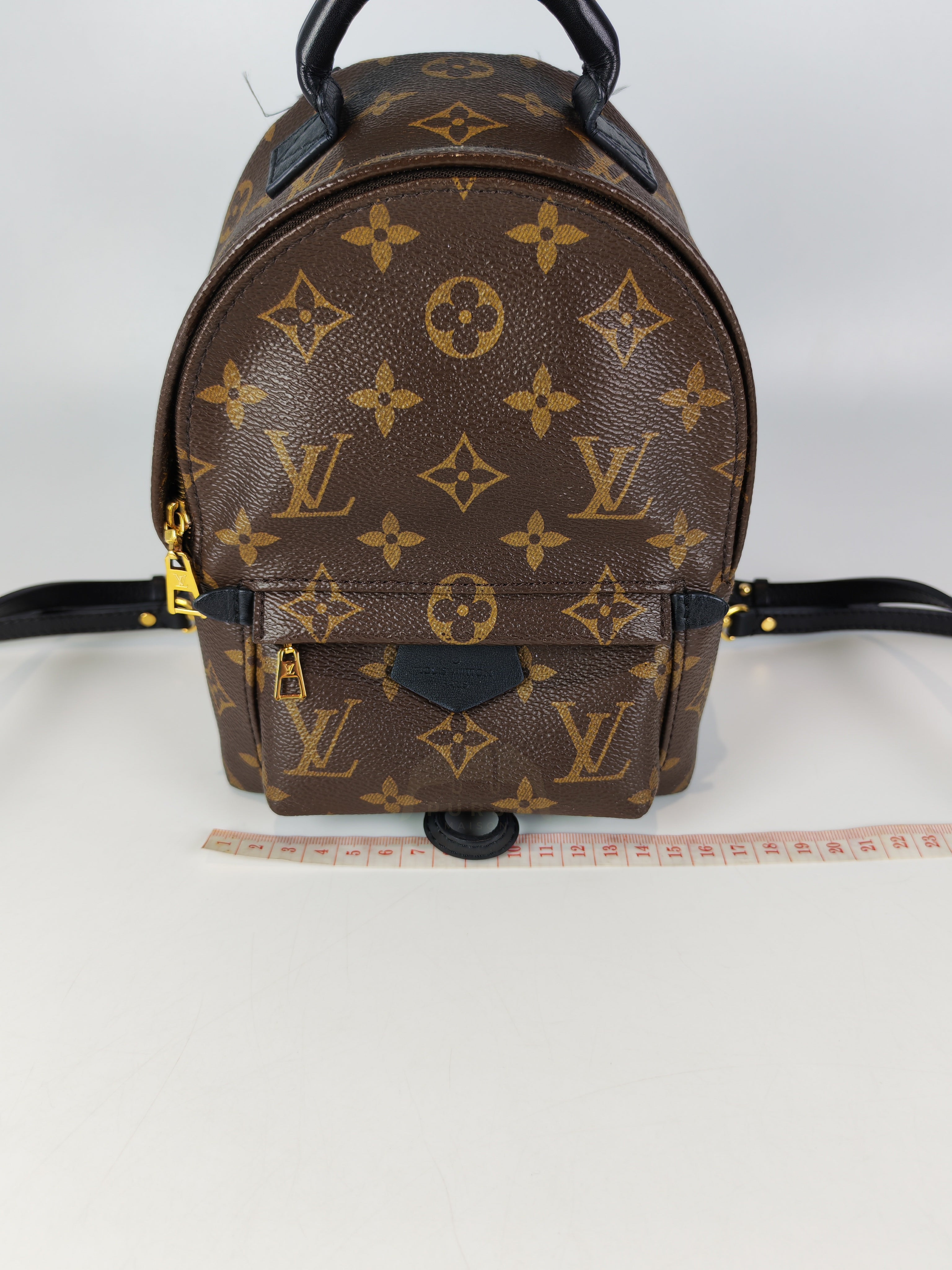 Palm Spring Mini in Monogram Canvas (Date code: CA1148)