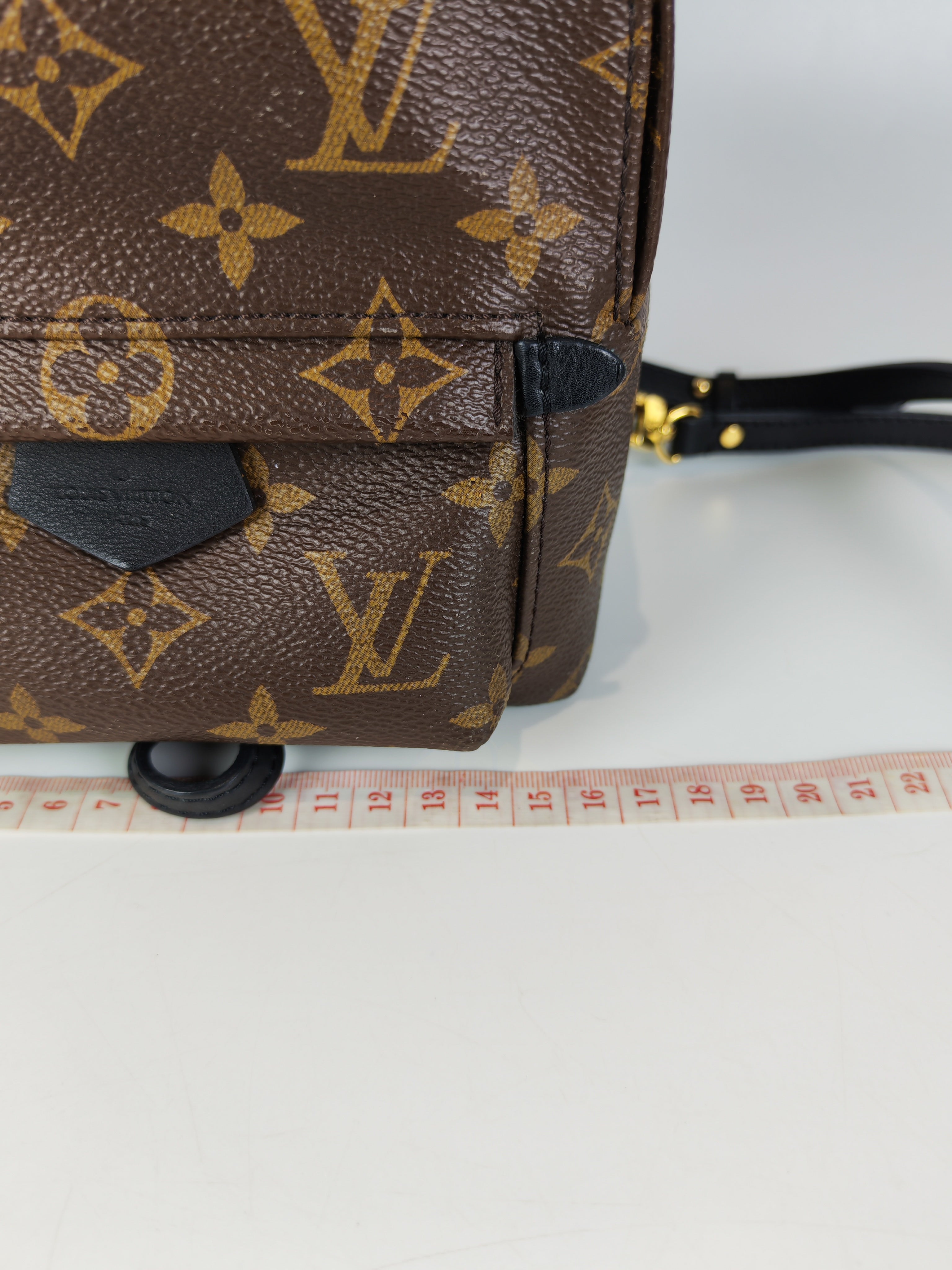 Palm Spring Mini in Monogram Canvas (Date code: CA1148)