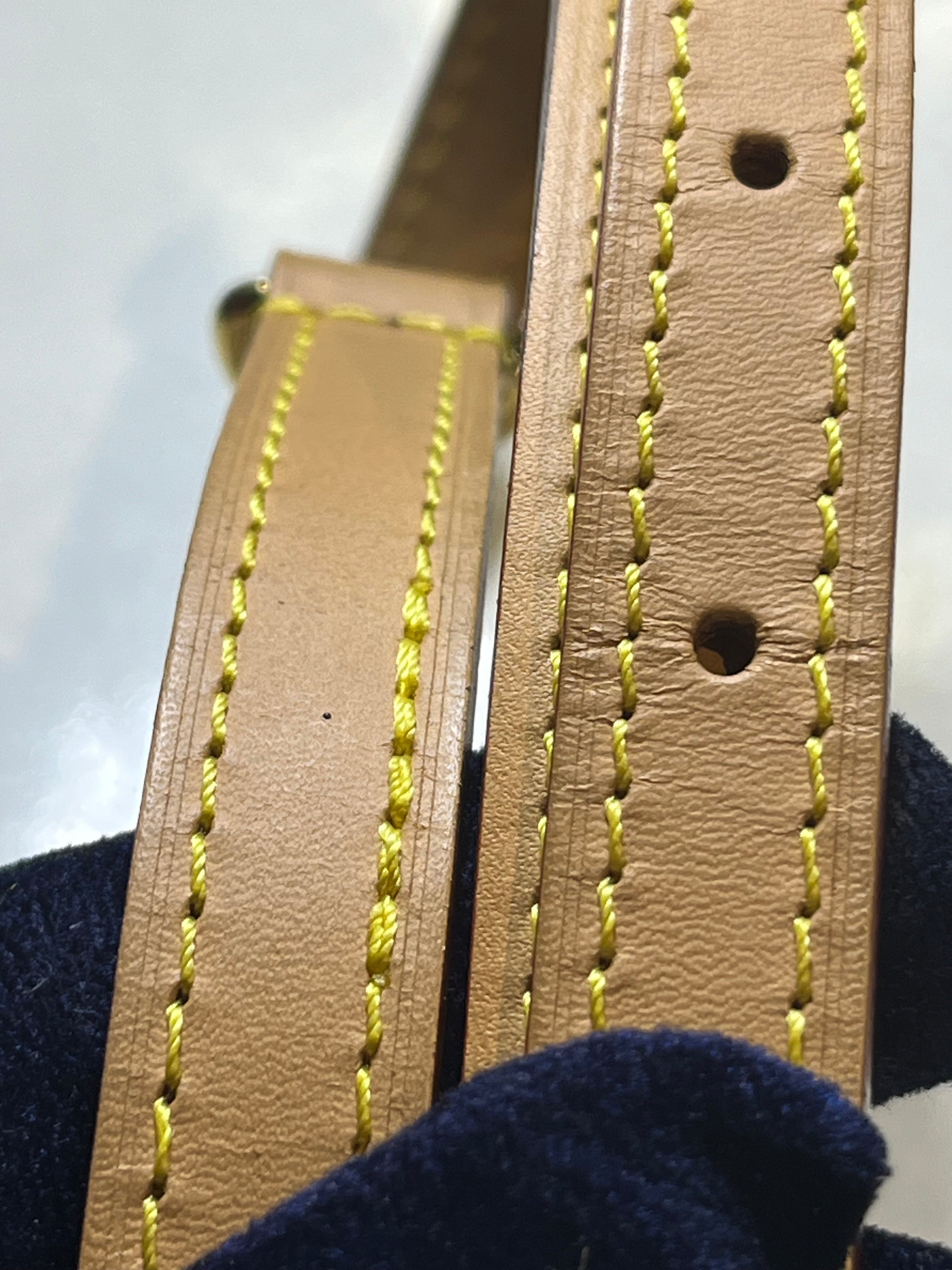 Speedy Nano in Monogram Canvas (Date code: TY0222)