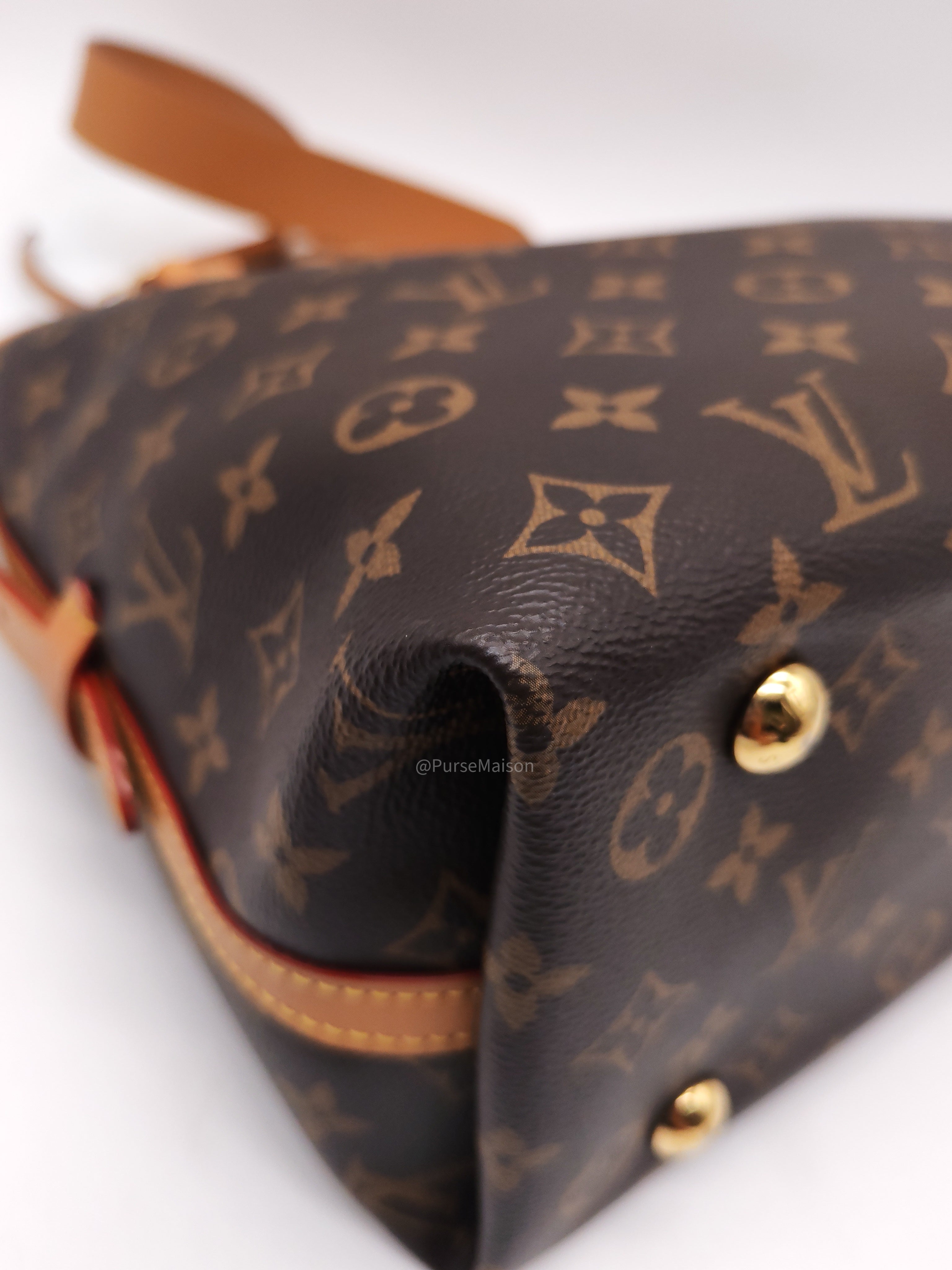 Louis Vuitton Carry All PM in Monogram Canvas and Gold Hardware Mircochip