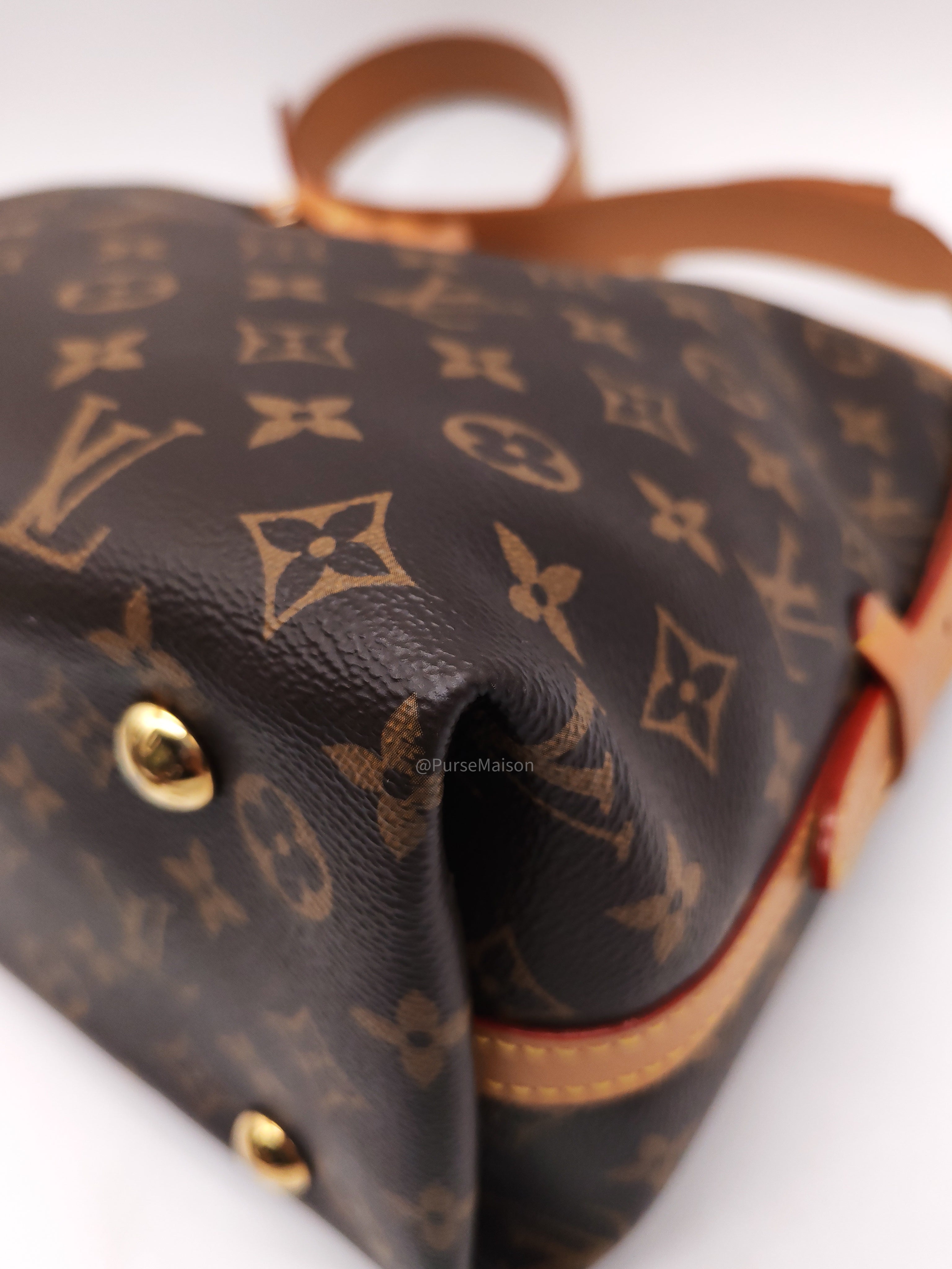 Louis Vuitton Carry All PM in Monogram Canvas and Gold Hardware Mircochip