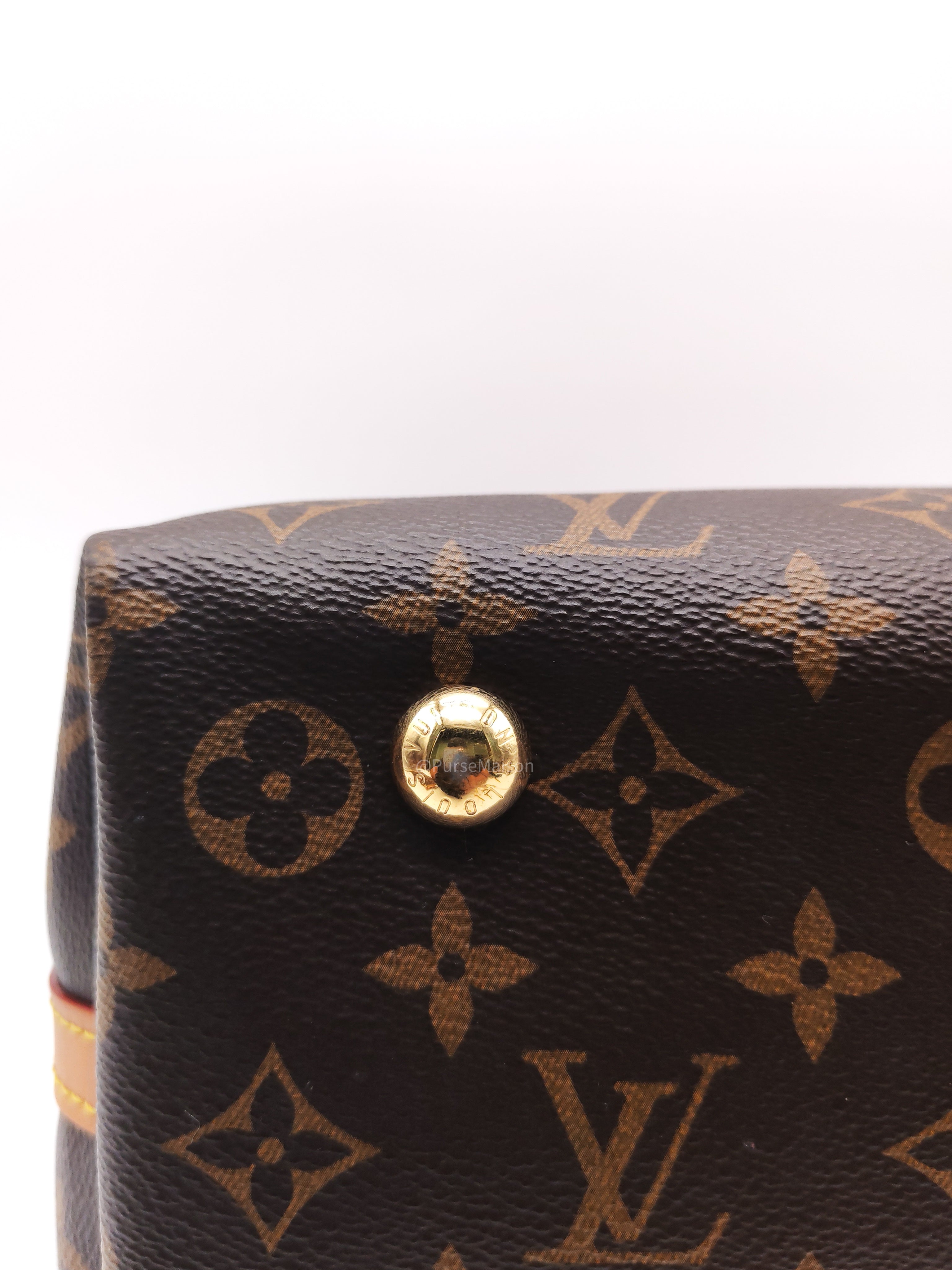 Louis Vuitton Carry All PM in Monogram Canvas and Gold Hardware Mircochip