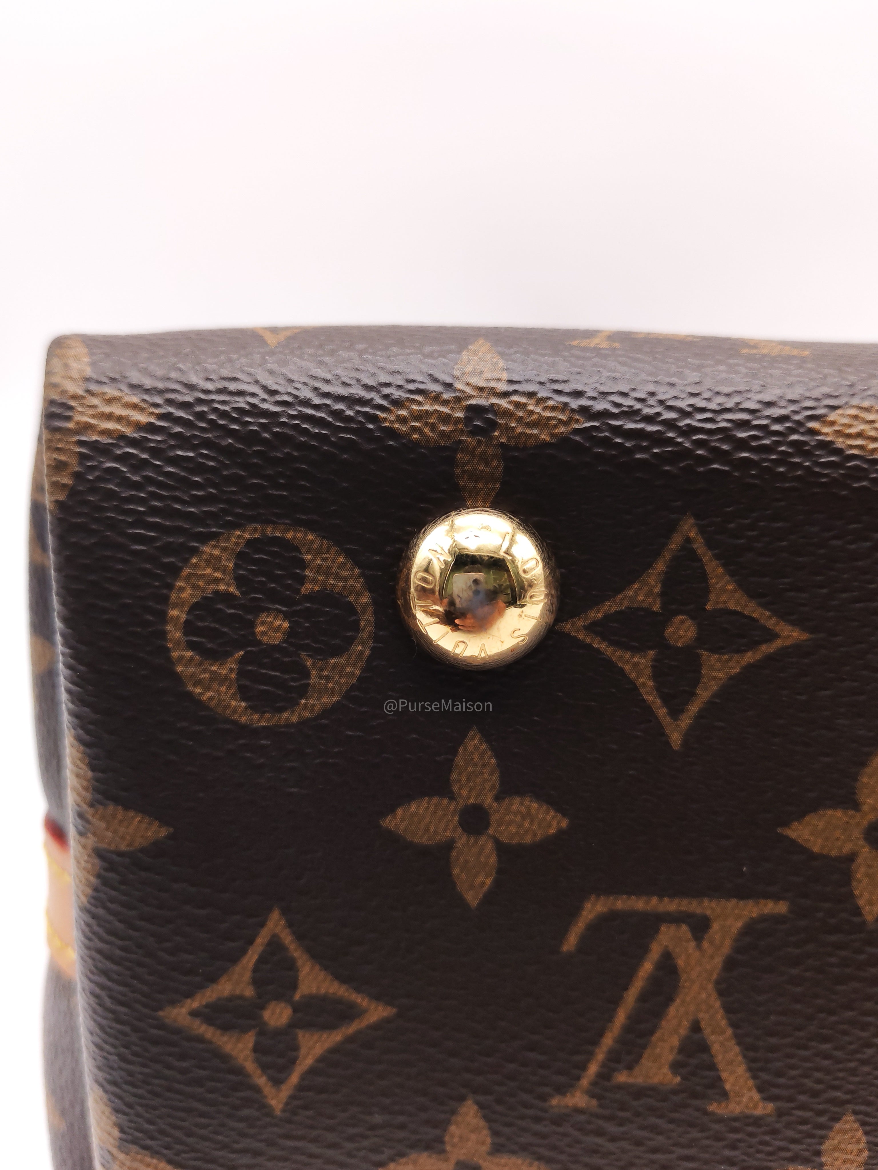 Louis Vuitton Carry All PM in Monogram Canvas and Gold Hardware Mircochip