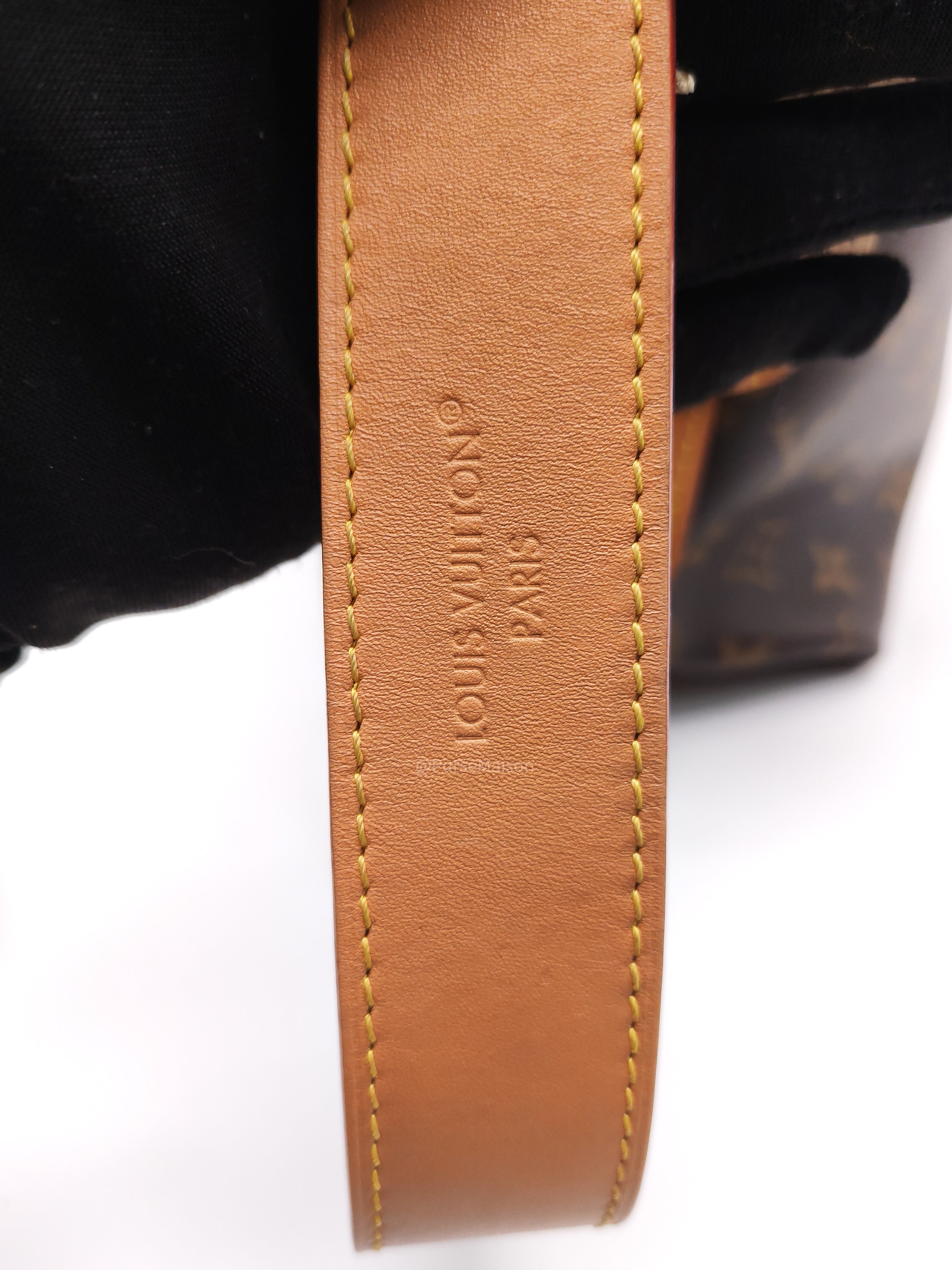 Louis Vuitton Carry All PM in Monogram Canvas and Gold Hardware Mircochip