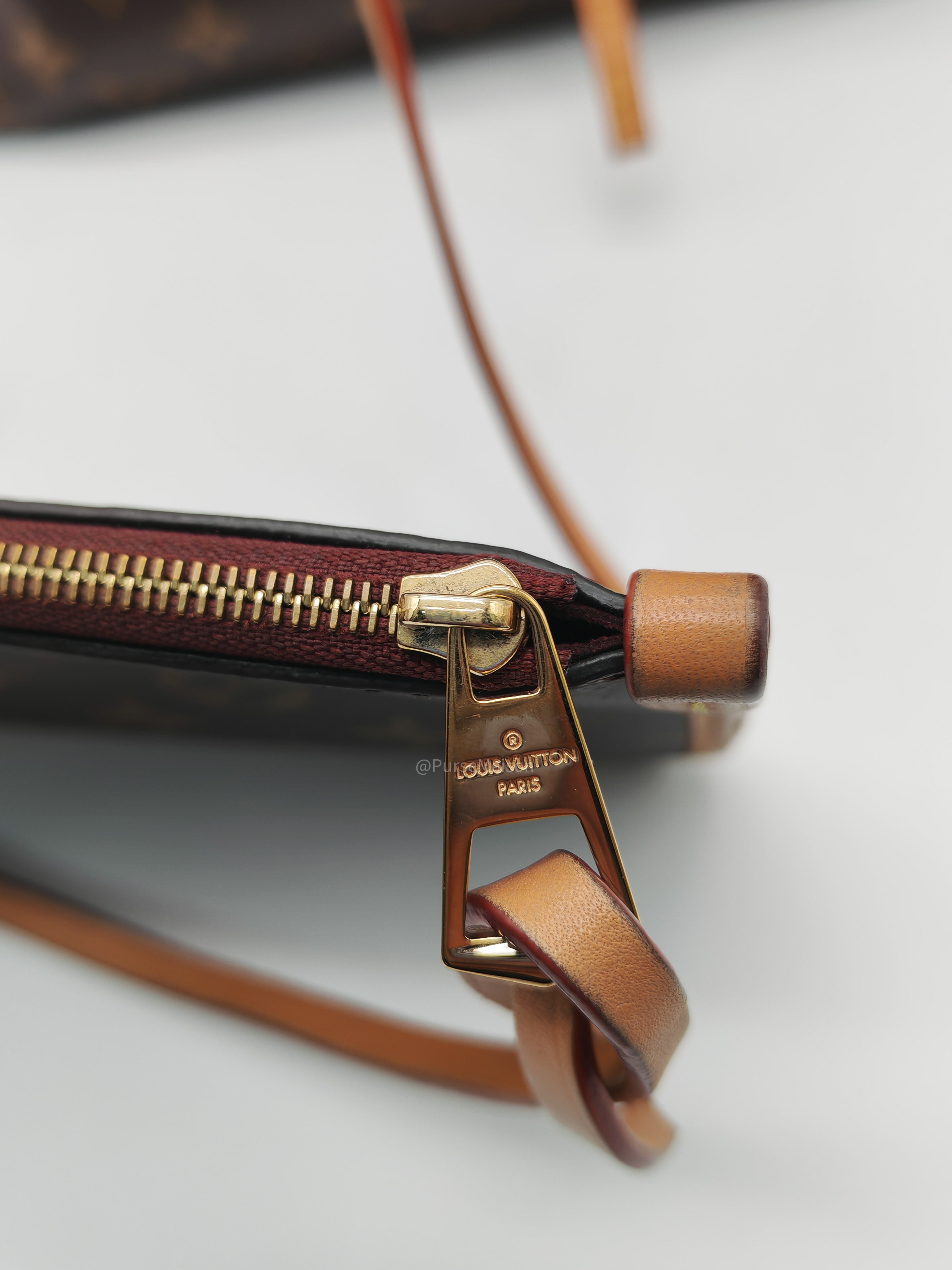 Louis Vuitton Carry All PM in Monogram Canvas and Gold Hardware Mircochip