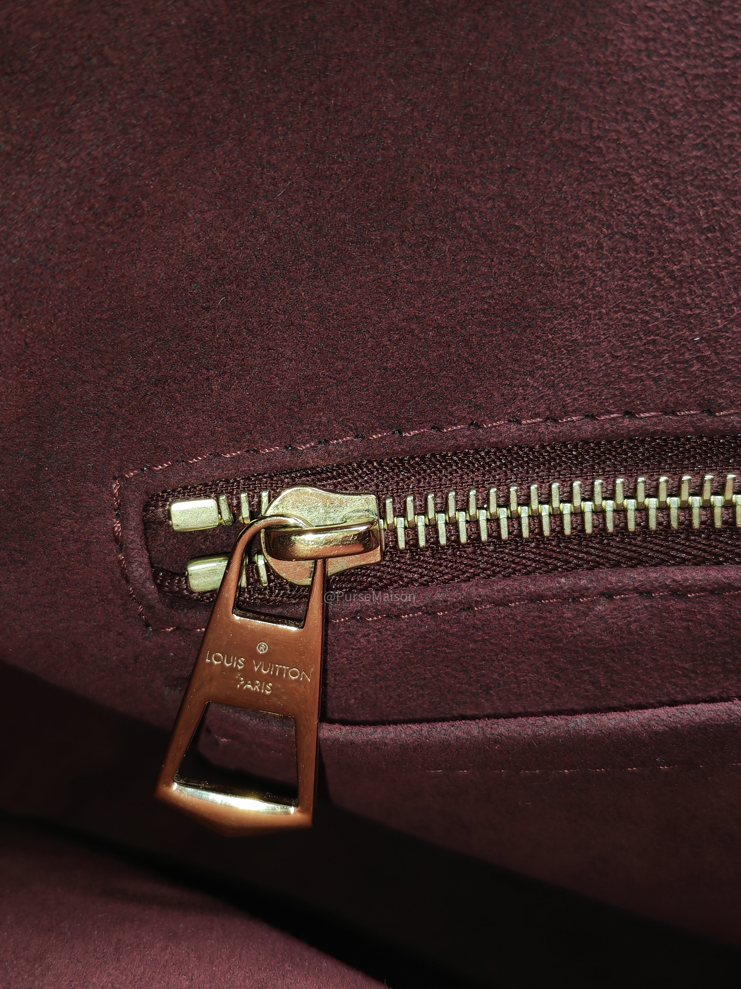 Louis Vuitton Carry All PM in Monogram Canvas and Gold Hardware Mircochip