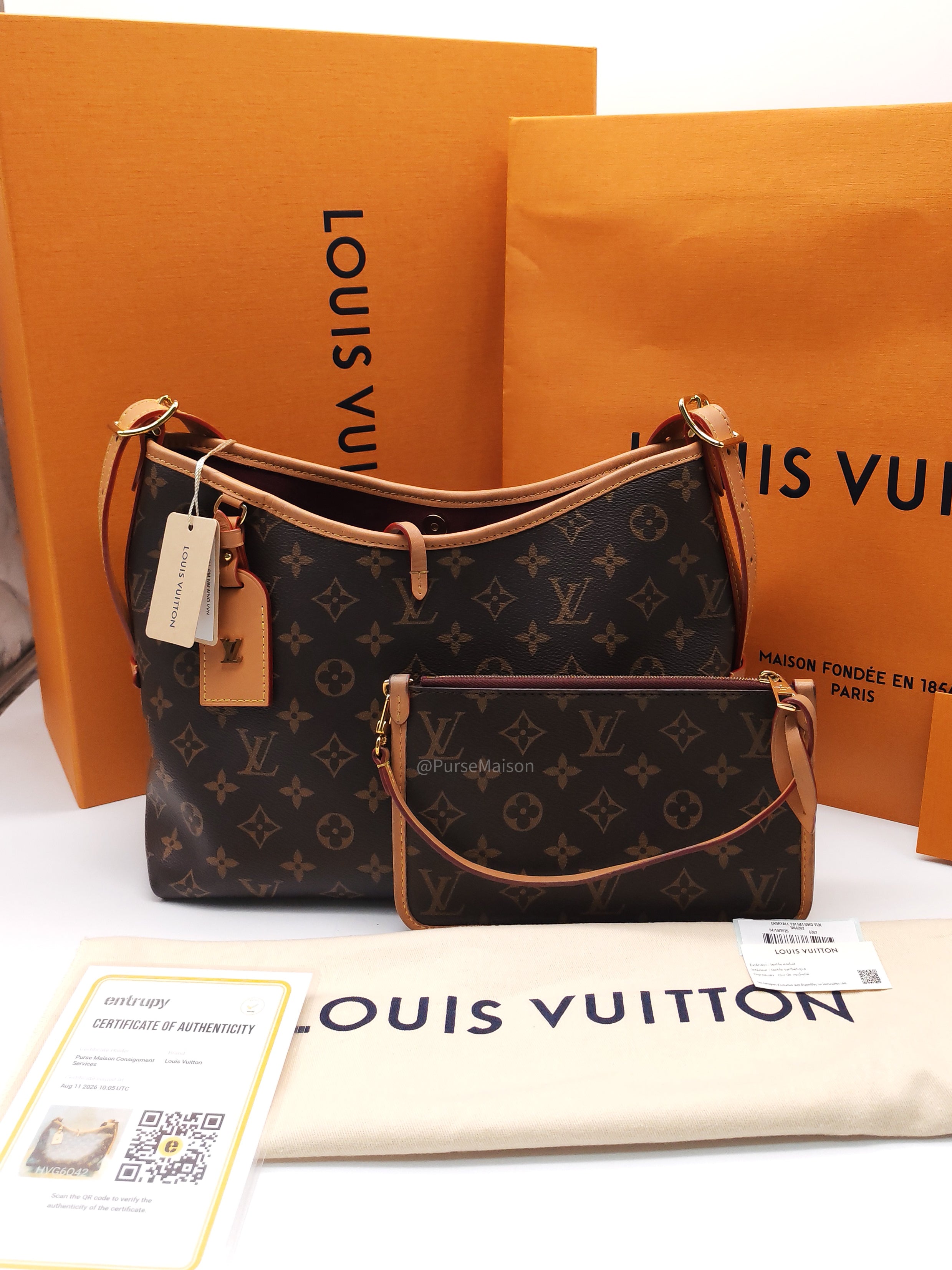 Louis Vuitton Carry All PM in Monogram Canvas and Gold Hardware Mircochip