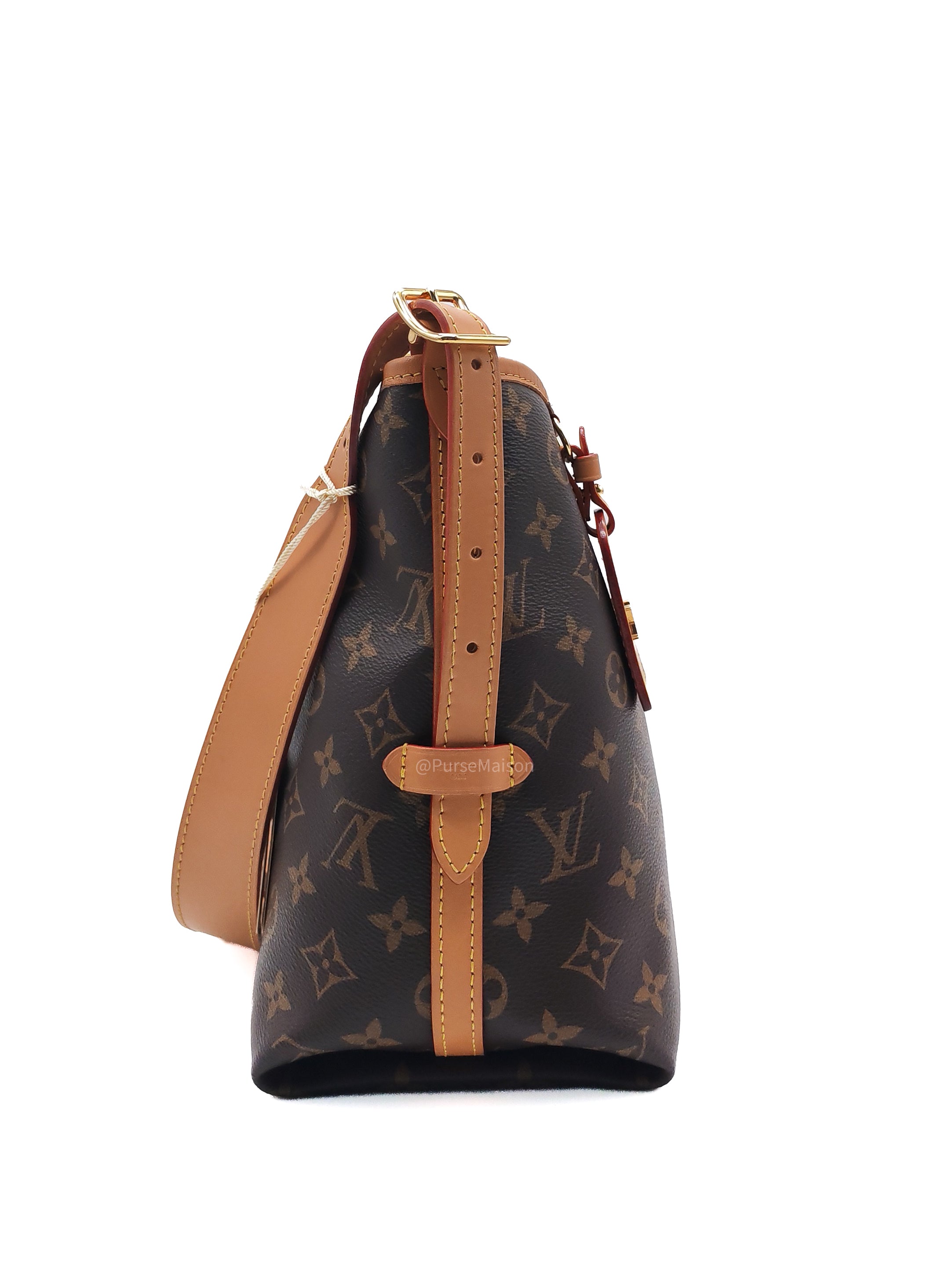 Louis Vuitton Carry All PM in Monogram Canvas and Gold Hardware Mircochip
