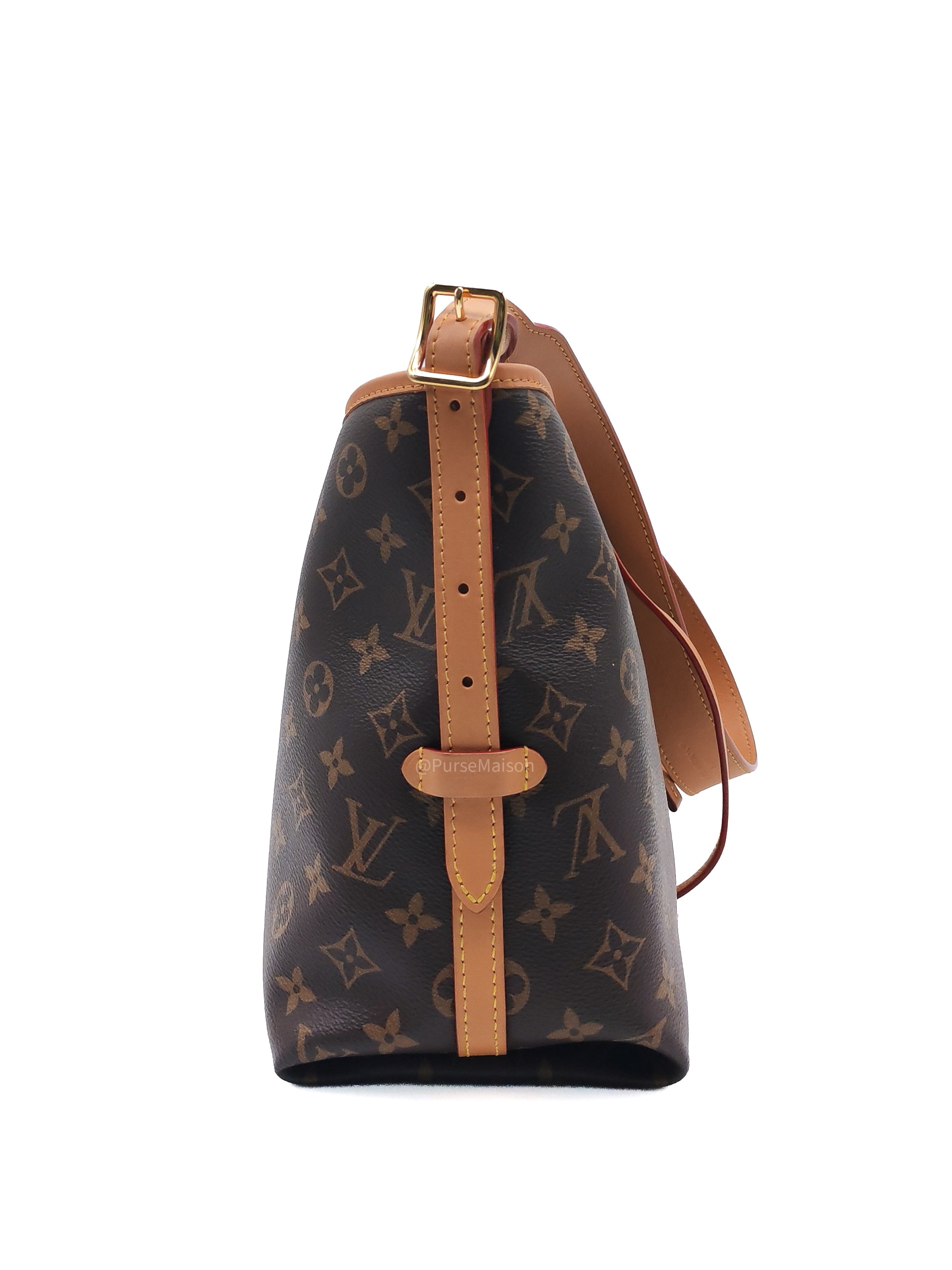Louis Vuitton Carry All PM in Monogram Canvas and Gold Hardware Mircochip