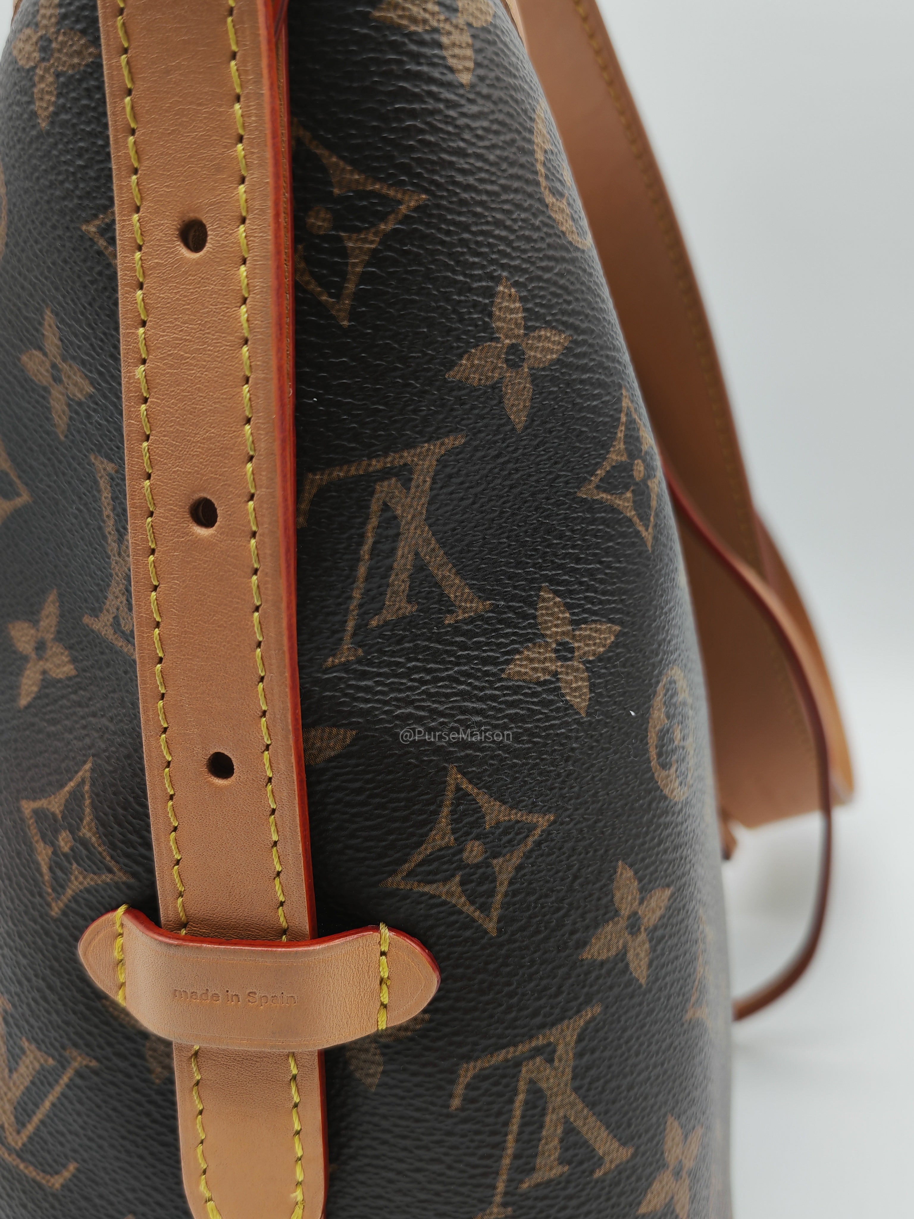 Louis Vuitton Carry All PM in Monogram Canvas and Gold Hardware Mircochip