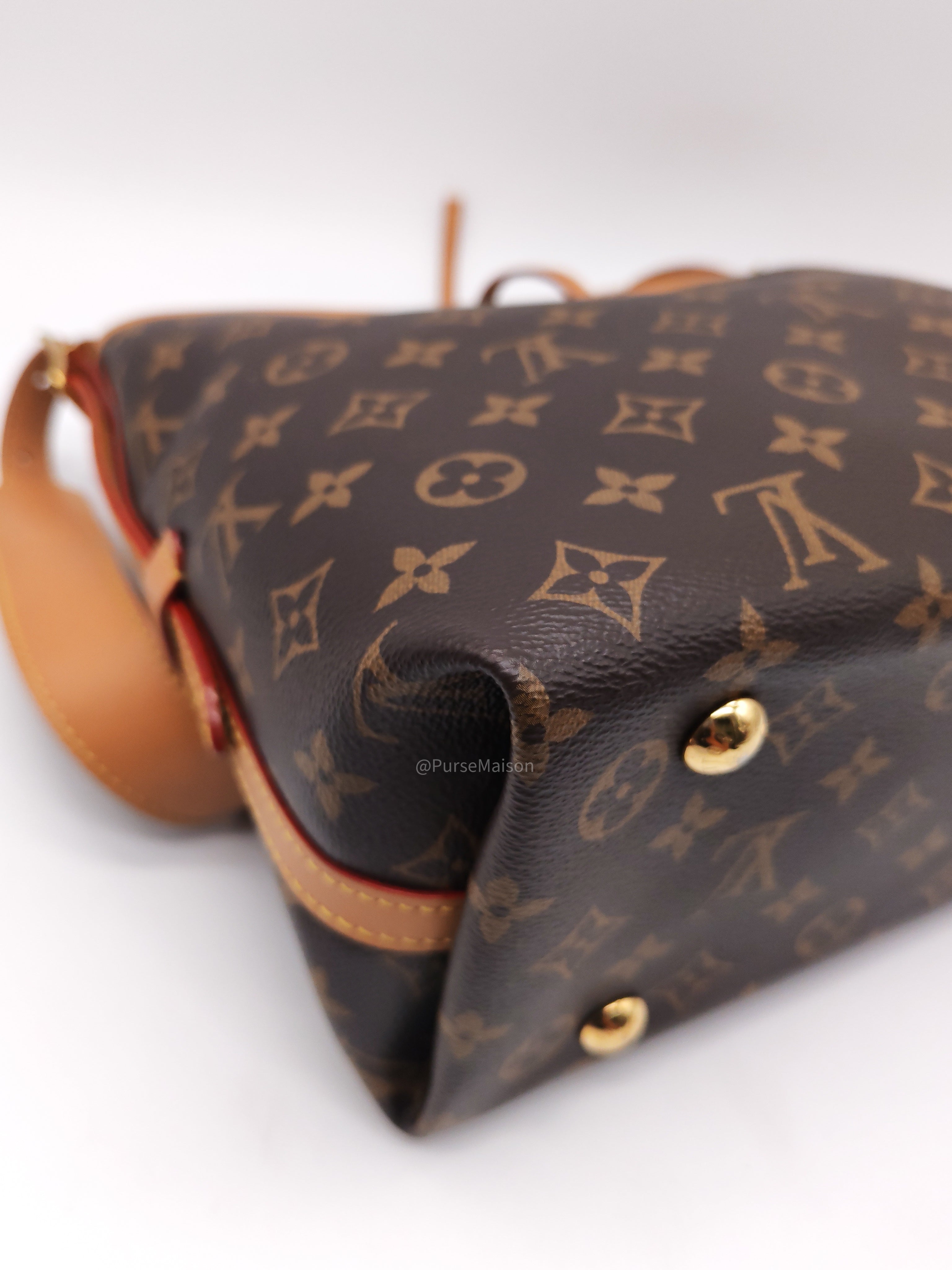 Louis Vuitton Carry All PM in Monogram Canvas and Gold Hardware Mircochip