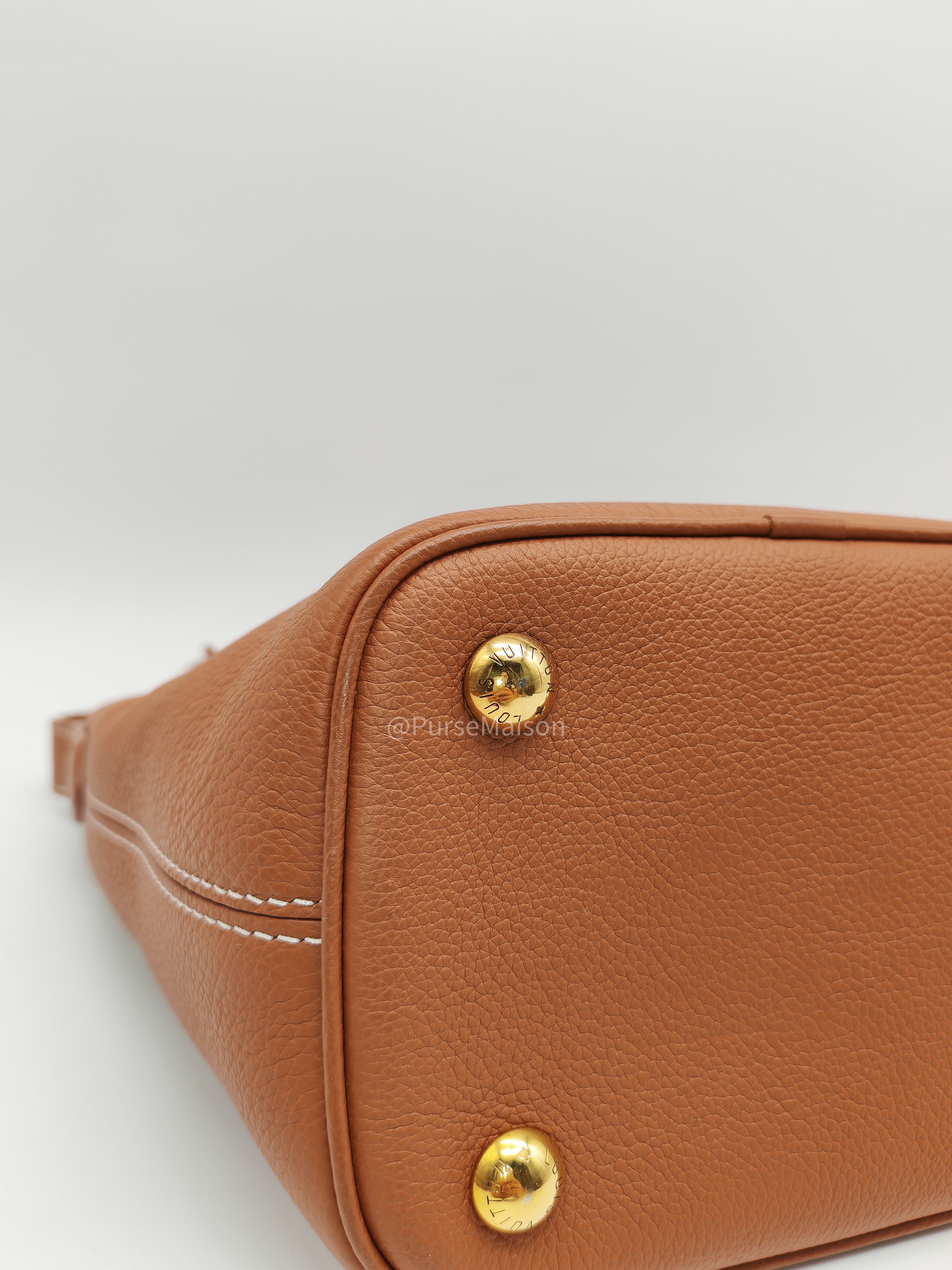Louis Vuitton Low Key All BB in Cognac Grained Calfskin Leather and Gold Hardware Microchip