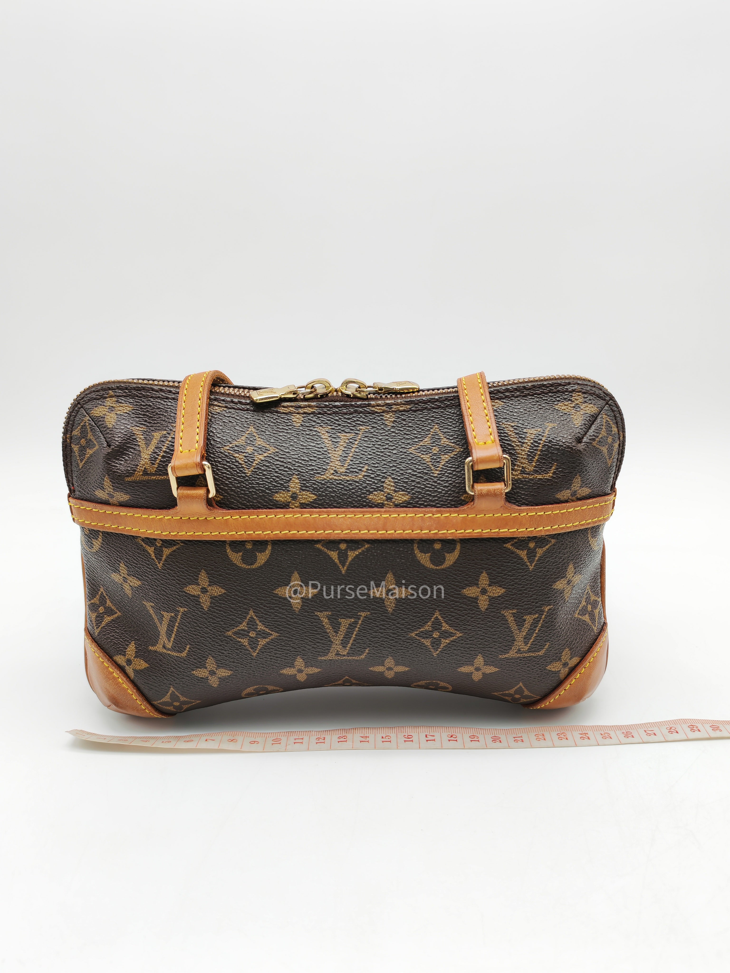 Louis Vuitton Coussin PM in Monogram Canvas (Date Code: VI0024)