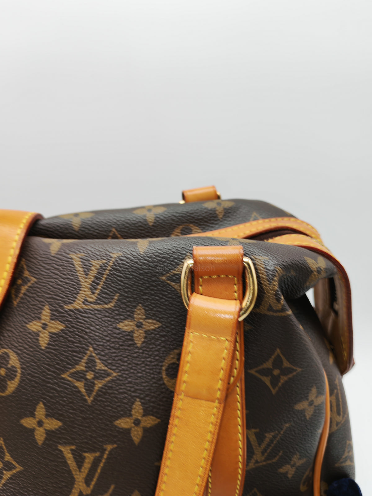 Louis Vuitton Stresa Bag GM in Monogram Canvas and Gold Hardware (Datecode: VI0130)