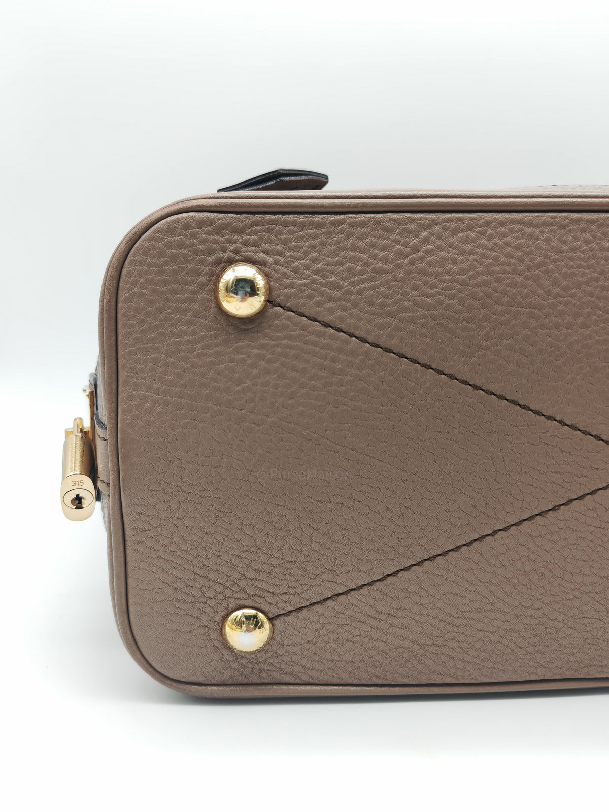 Louis Vuitton Stellar PM Bag in Monogram Mahina Leather and Gold Hardware