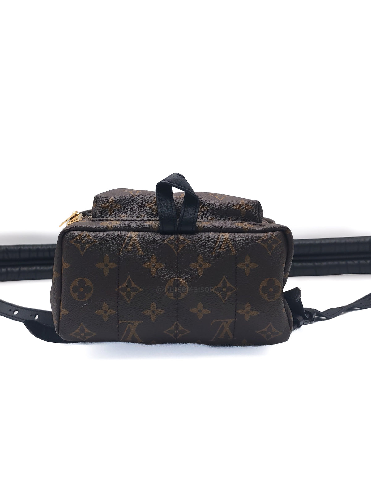 Louis Vuitton Palm Spring Backpack PM in Monogram Canvas and Gold Hardware (Datecode: FL0119)