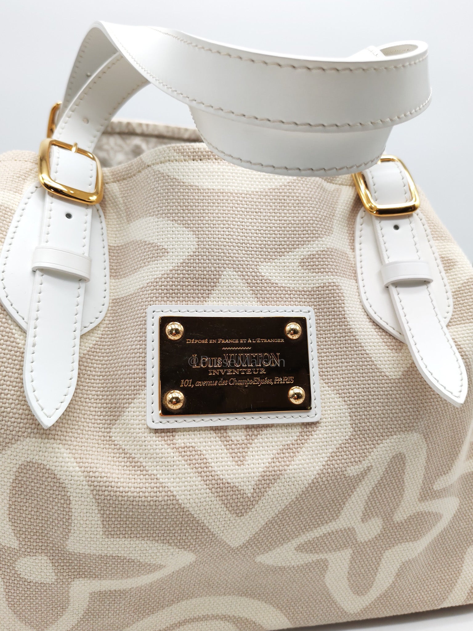 Louis Vuitton Monogram Tahitienne Cabas PM Tote Bag (Date Code: TH0038)