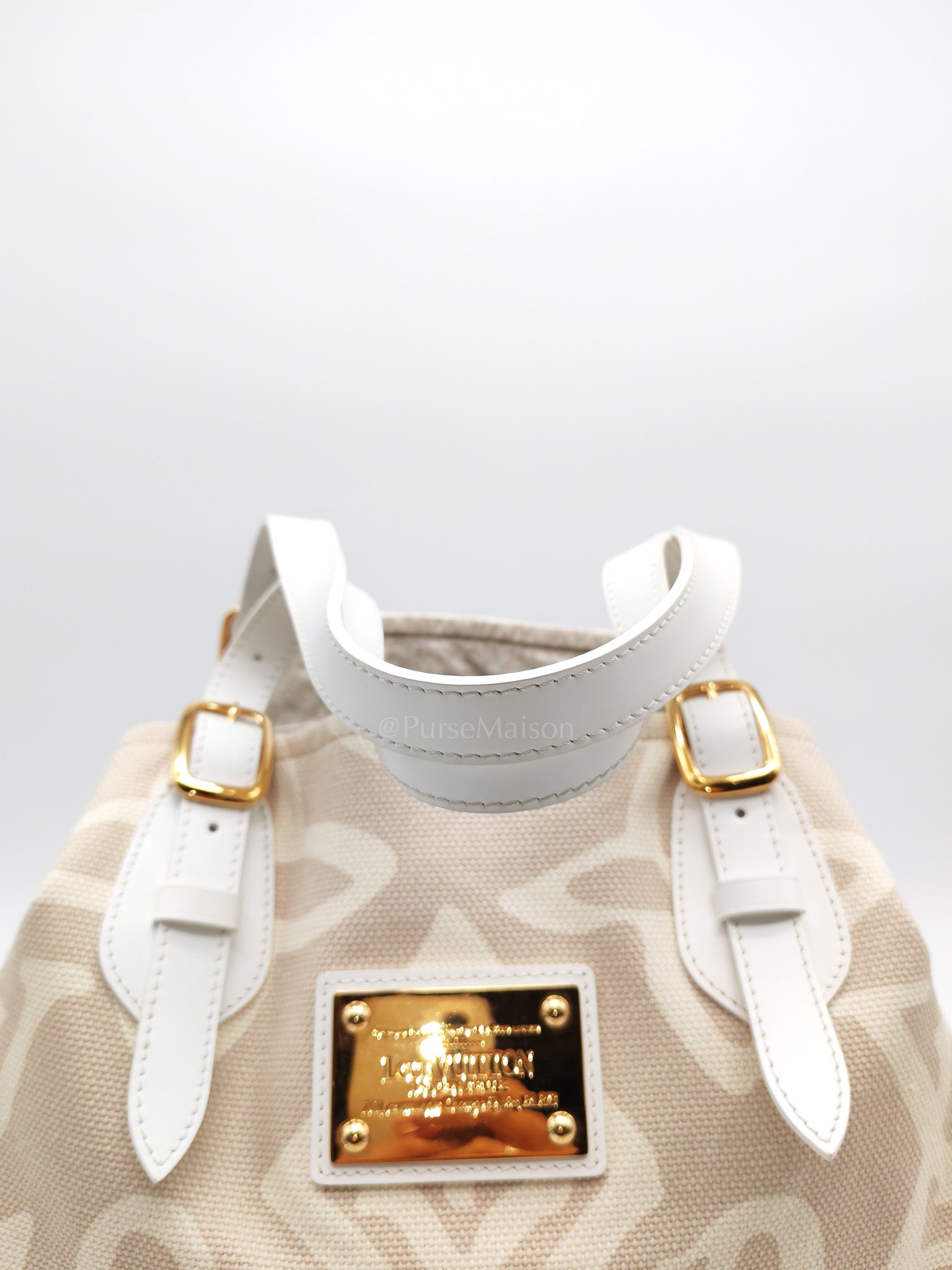 Louis Vuitton Monogram Tahitienne Cabas PM Tote Bag (Date Code: TH0038)