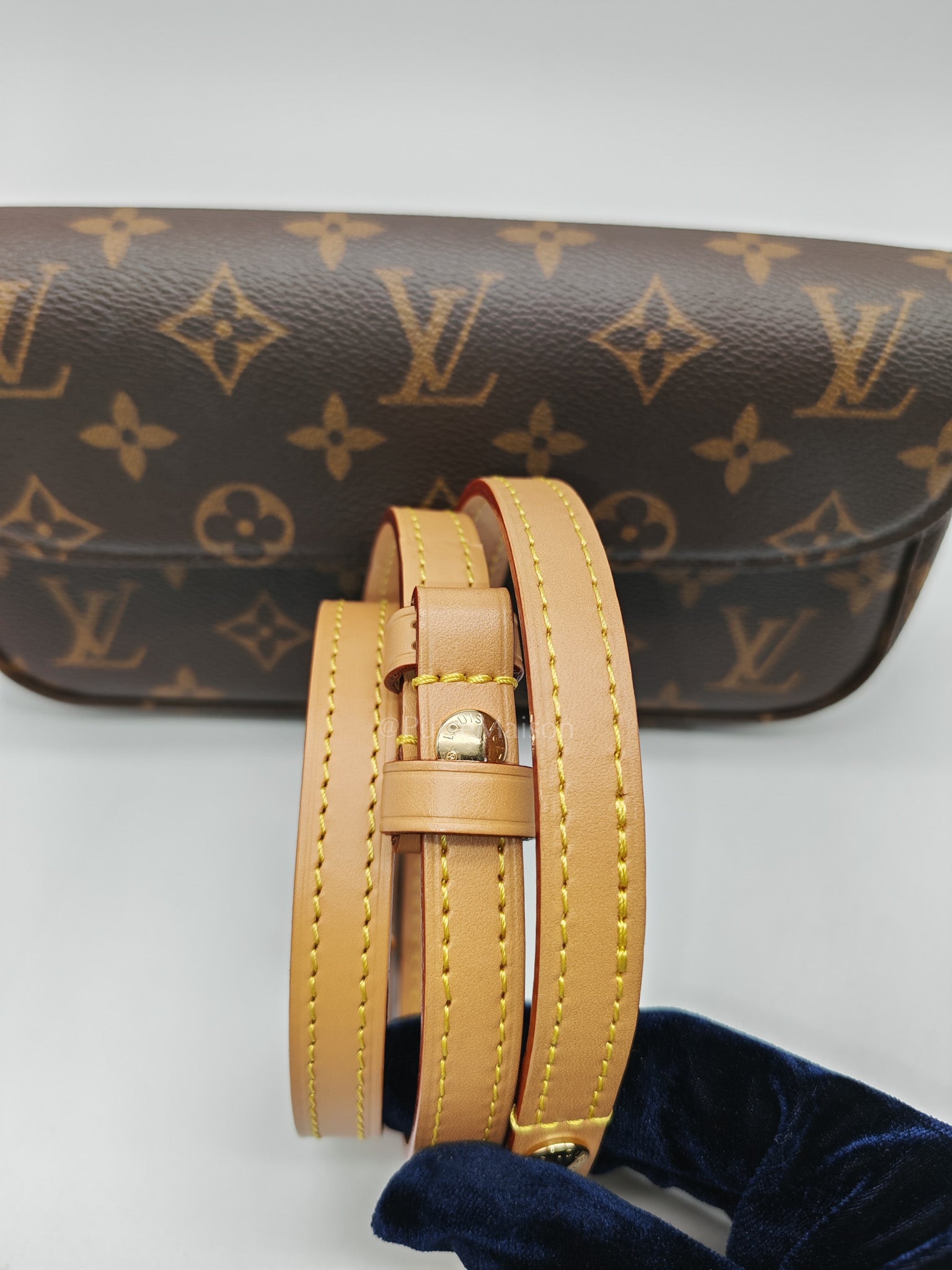 Ivy Wallet On Chain in Monogram Canvas Shoulder Bag (Microchip)