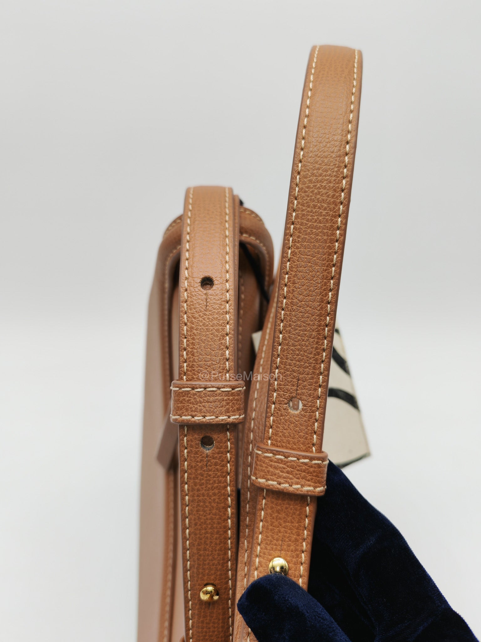 Polene Numero Dix Bag in Camel Grained Leather
