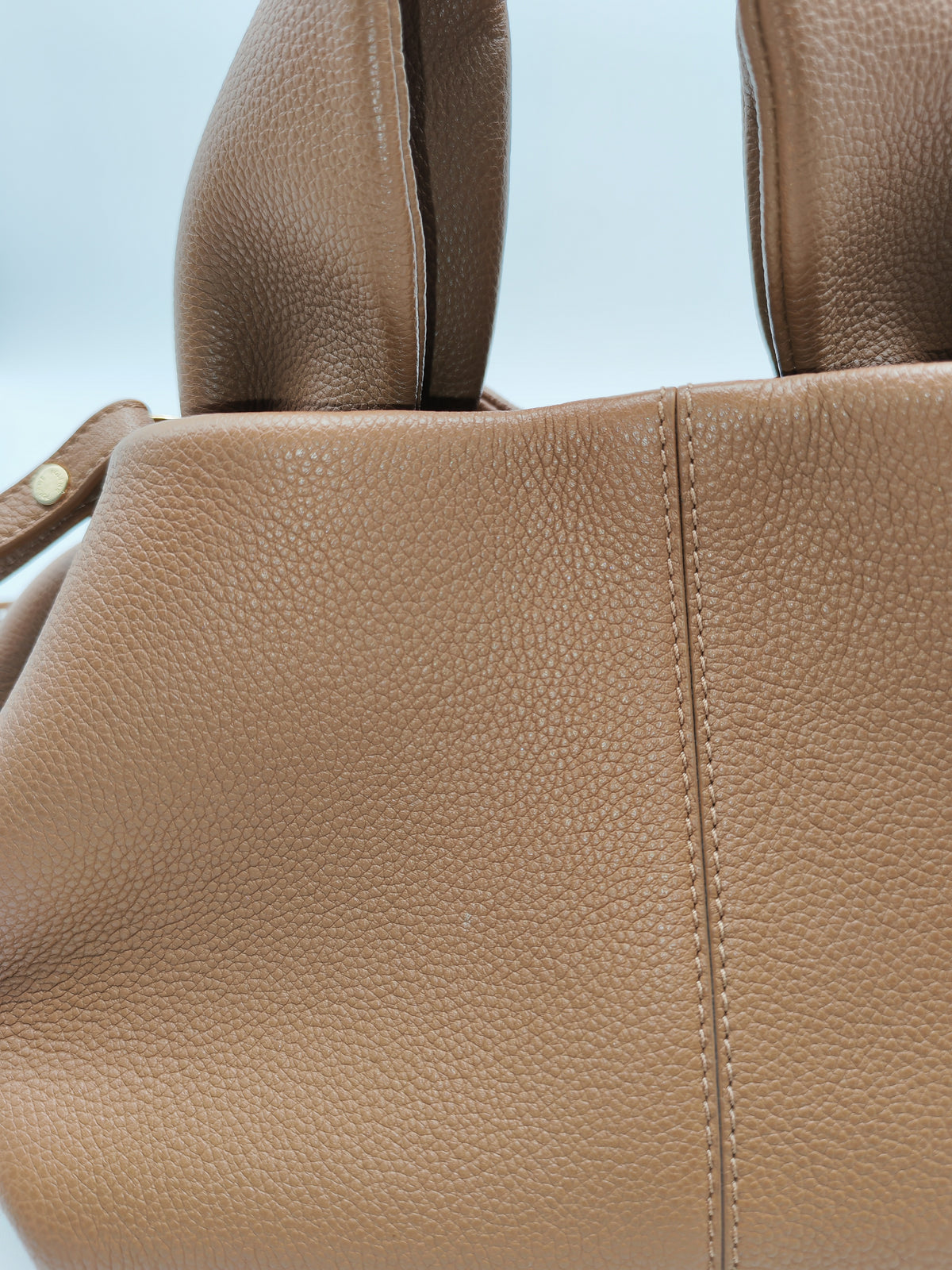 Polene Numero Neuf in Camel Graine Leather