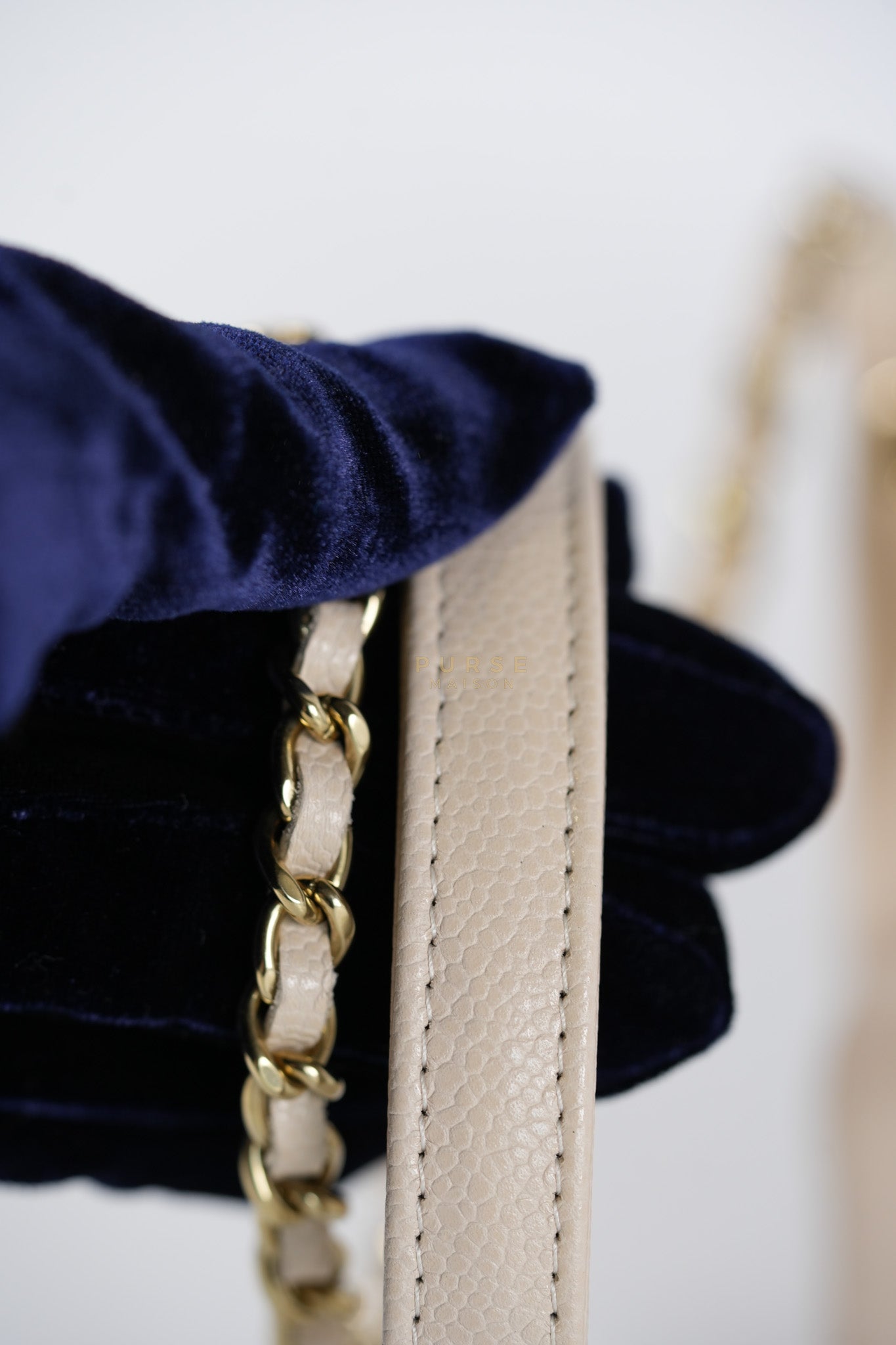 Affinity Mini Bucket Bag in Light Beige Caviar Leather and Light Gold Hardware (Microchip) | Purse Maison Luxury Bags Shop