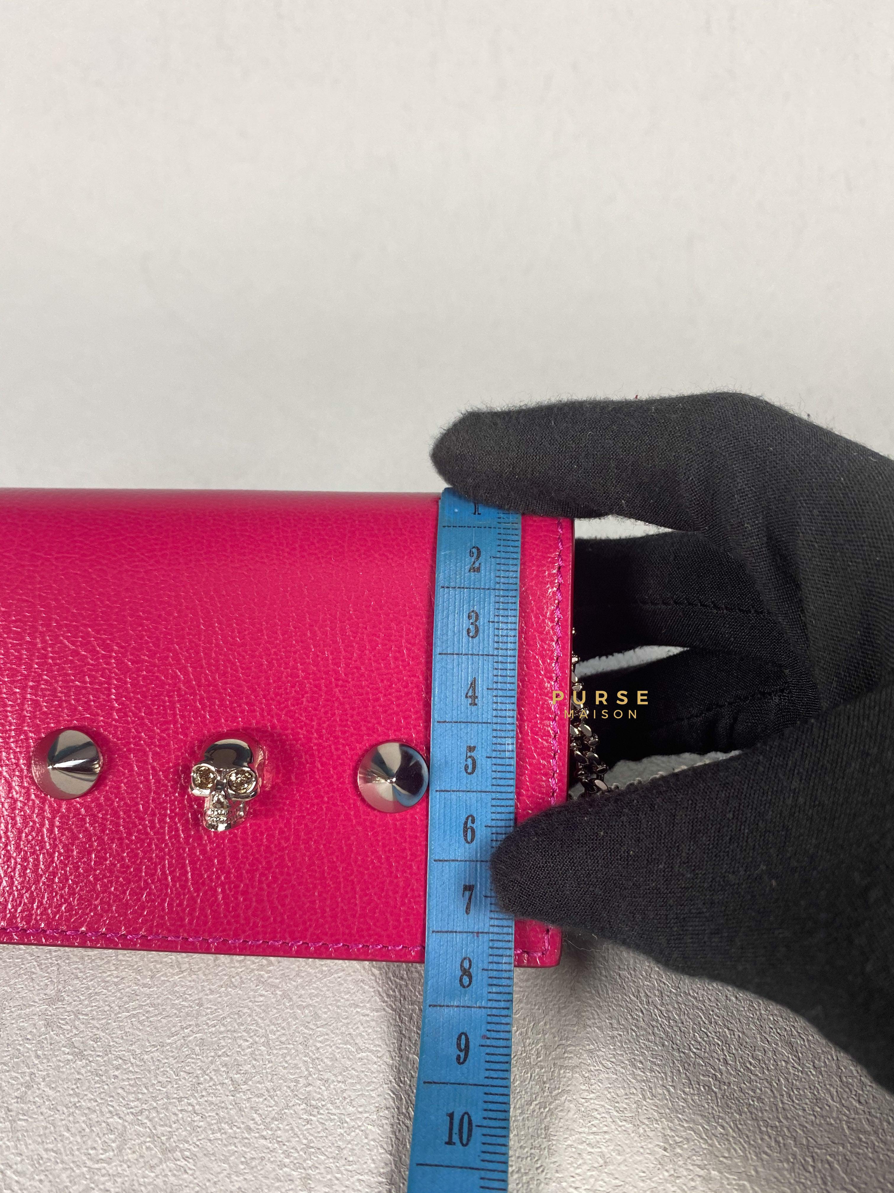 Alexander McQueen Skull Studded Cardholder on Chain | Purse Maison Luxury Bags Shop