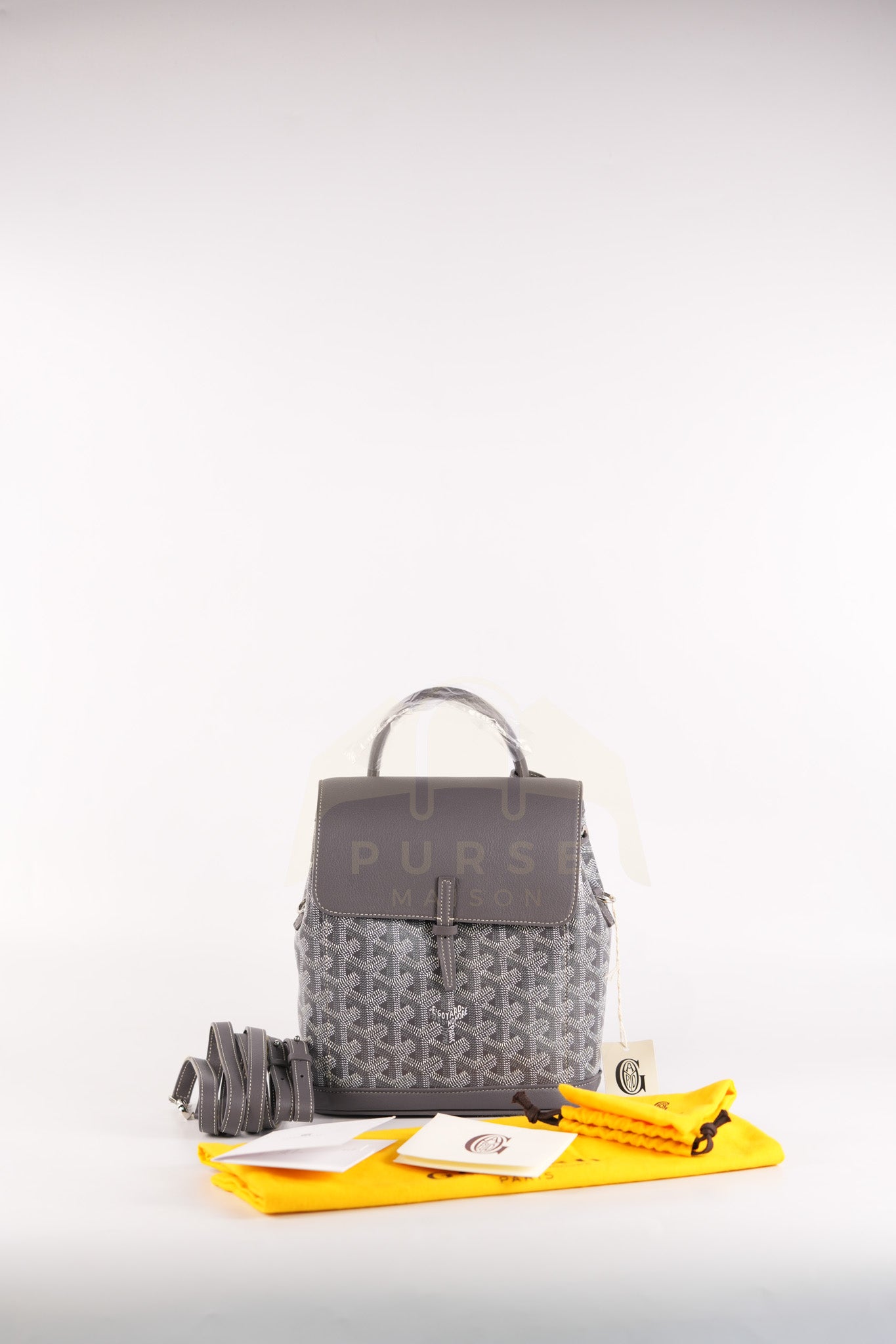 Alpin Mini Gray in Goyardine Canvas Backpack | Purse Maison Luxury Bags Shop