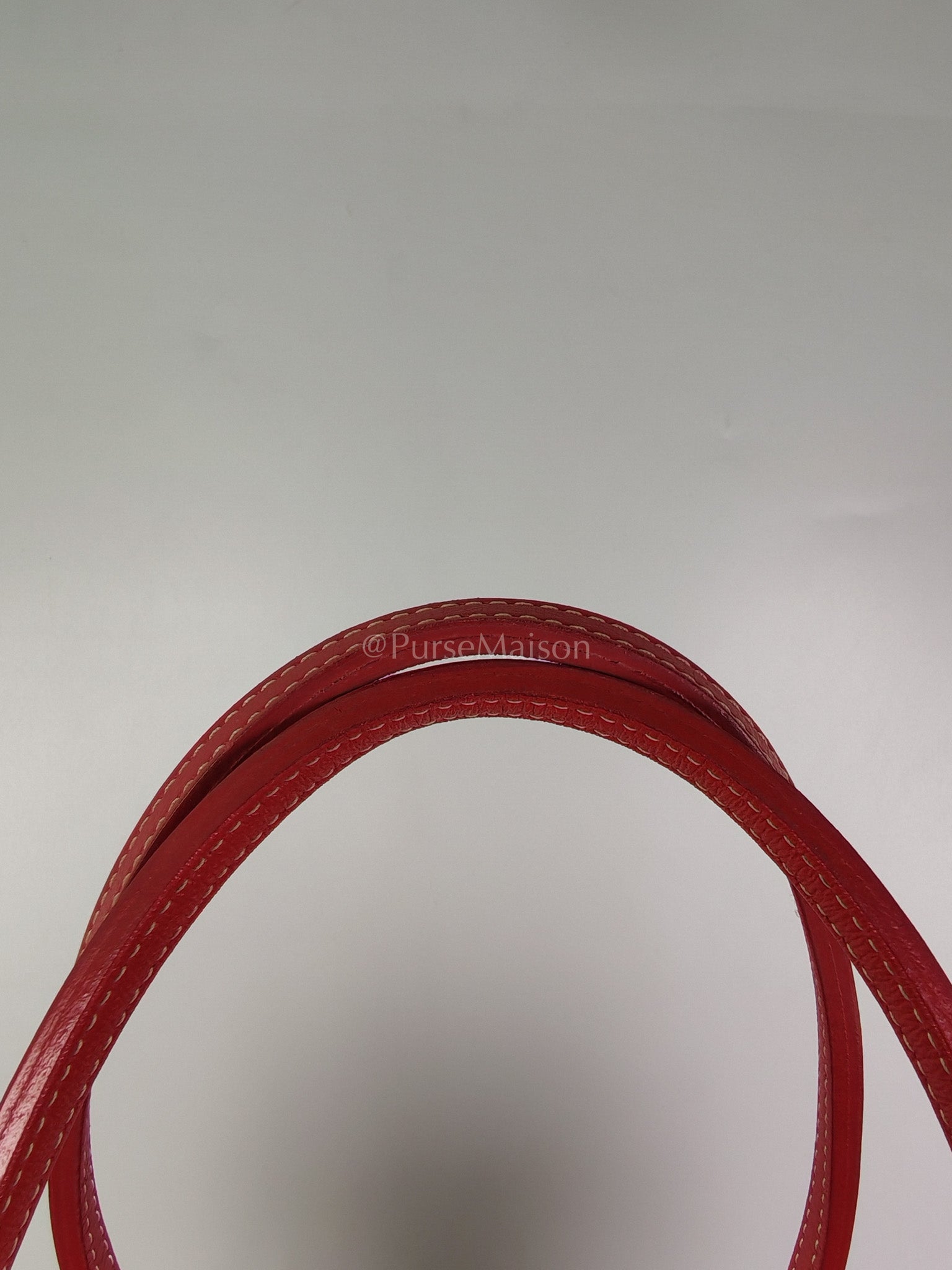 Anjou PM Bag in Red Goyardine Canvas | Purse Maison Luxury Bags Shop