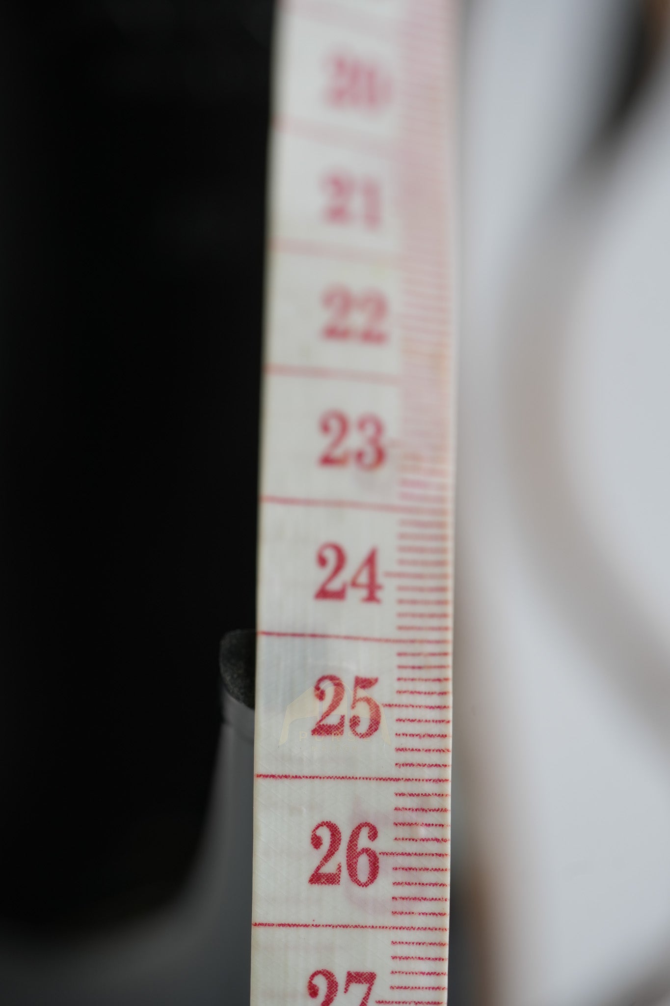 Babylone Breteuil Slingback Pumps in Macadamia Smooth Leather Size 38 (24cm) | Purse Maison Luxury Bags Shop