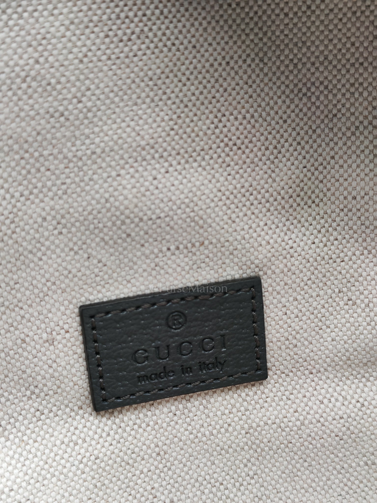 Ophidia Fanny Belt Bag in GG Supreme Ophidia Coated Canvas