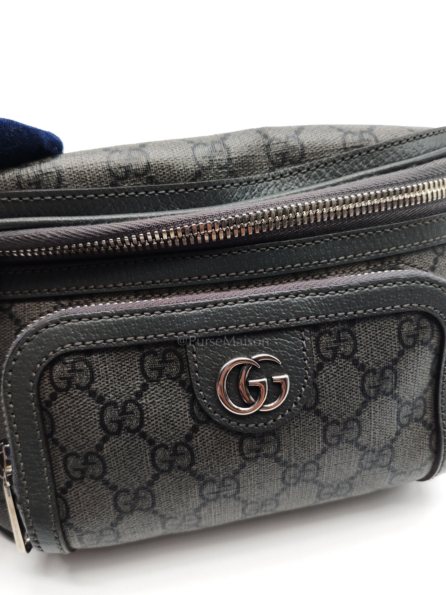 Ophidia Fanny Belt Bag in GG Supreme Ophidia Coated Canvas