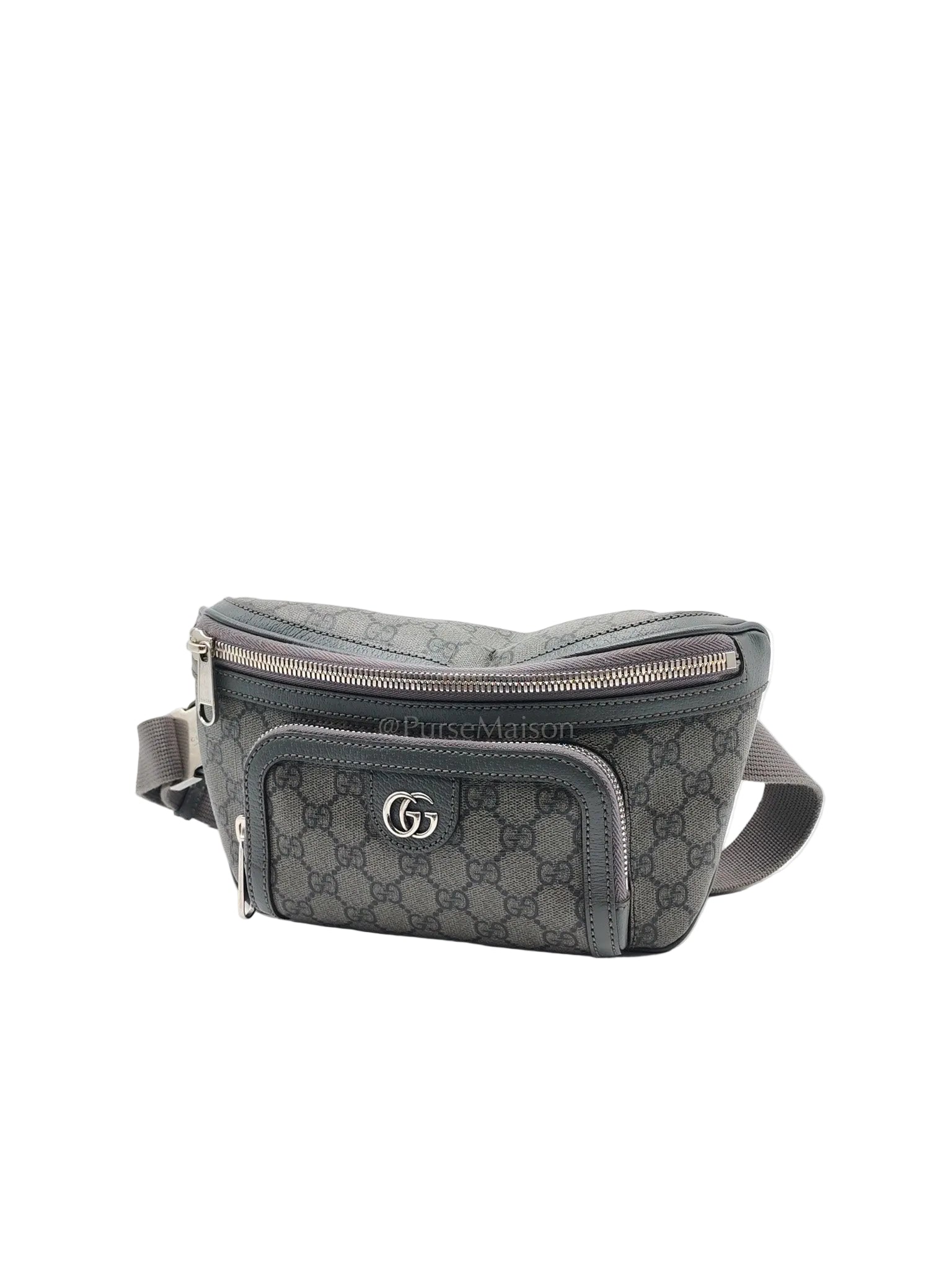 Ophidia Fanny Belt Bag in GG Supreme Ophidia Coated Canvas