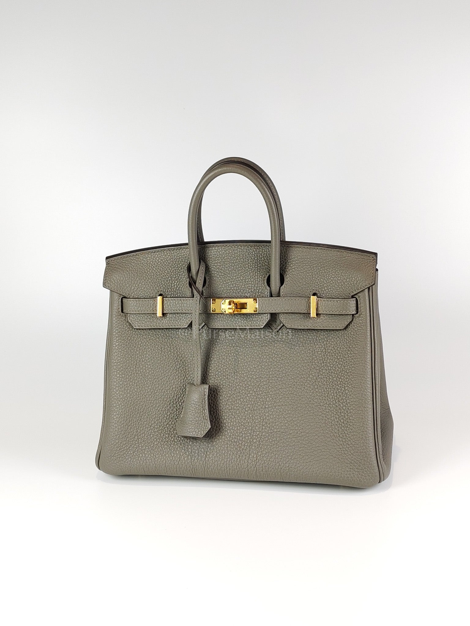 Birkin 25 Gris Meyer in Togo Leather and Gold Hardware Stamp B (2023) | Purse Maison Luxury Bags Shop