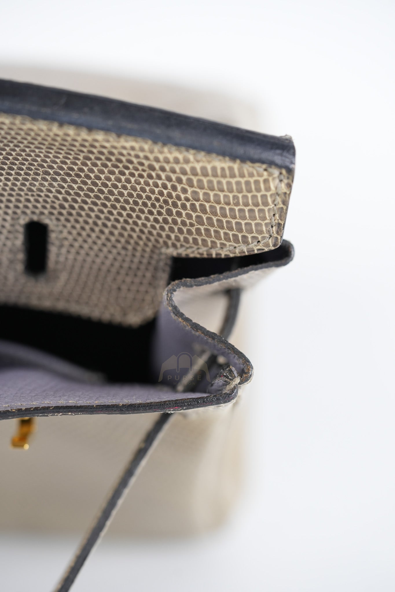 Birkin 25 Lizard Gris Tourterelle Gold hardware Stamp P (2012) | Purse Maison Luxury Bags Shop