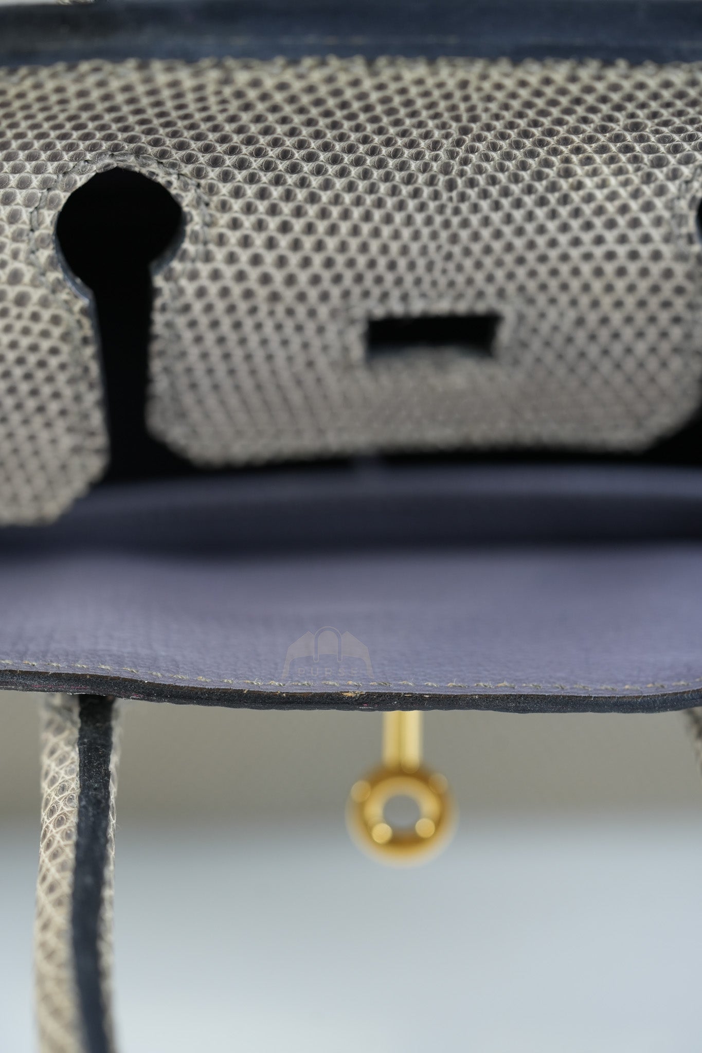 Birkin 25 Lizard Gris Tourterelle Gold hardware Stamp P (2012) | Purse Maison Luxury Bags Shop