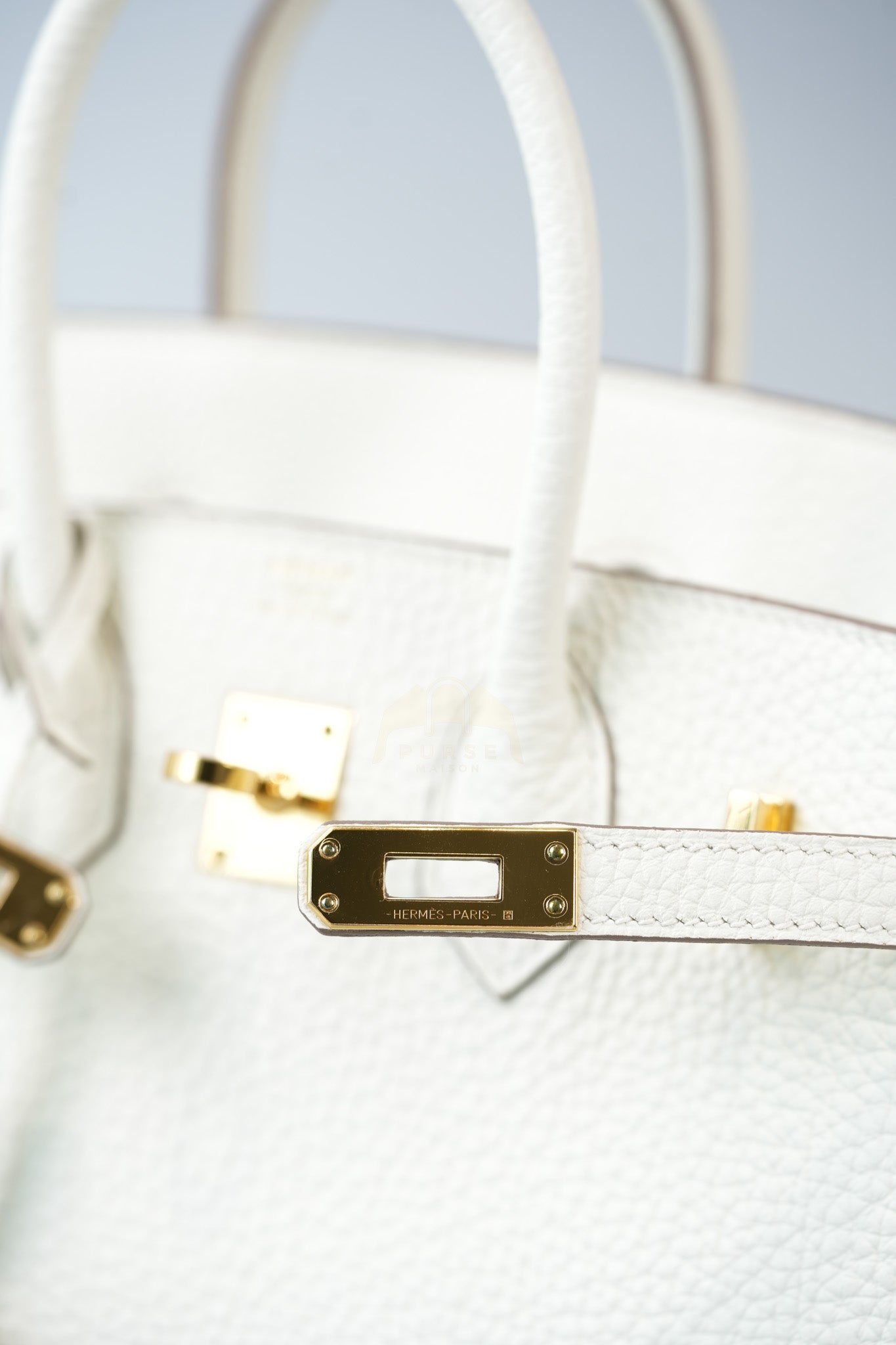 Birkin 25 Mushroom in Togo Leather and Gold Hardware Stamp B (2023) | Purse Maison Luxury Bags Shop