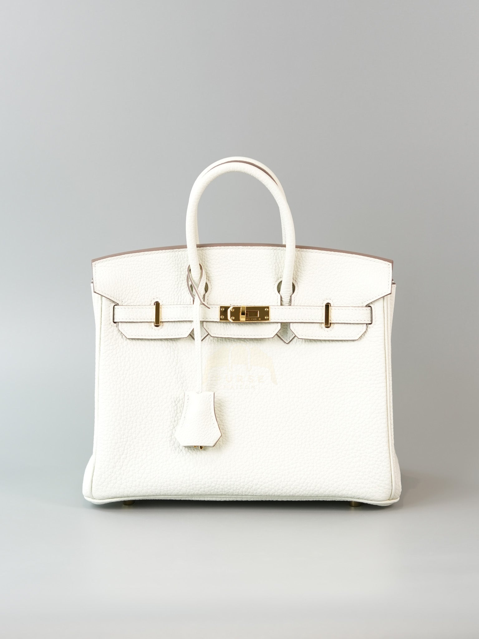 Birkin 25 Mushroom in Togo Leather and Gold Hardware Stamp B (2023) | Purse Maison Luxury Bags Shop
