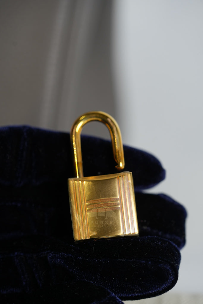 Birkin 25 Retourne in Etain Togo Leather and Gold Hardware Stamp D (2019) | Purse Maison Luxury Bags Shop