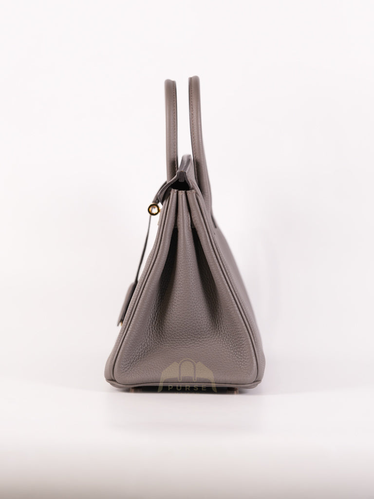 Birkin 25 Retourne in Etain Togo Leather and Gold Hardware Stamp D (2019) | Purse Maison Luxury Bags Shop