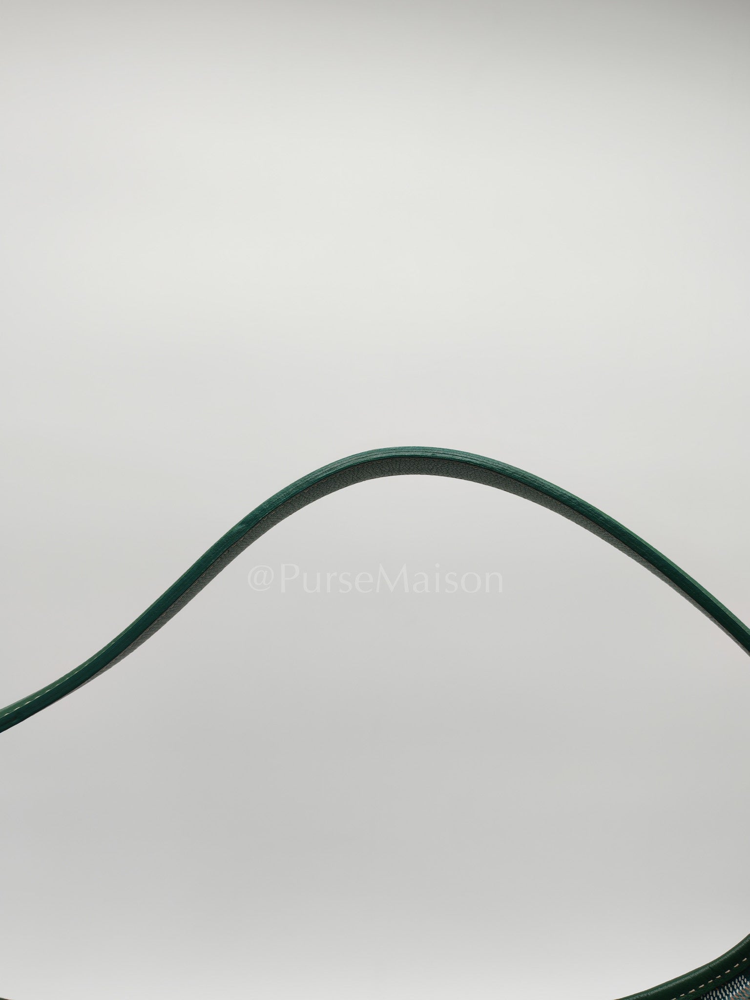 Boheme Hobo Bag PM in Green Coeur Goyardine Coated Canvas