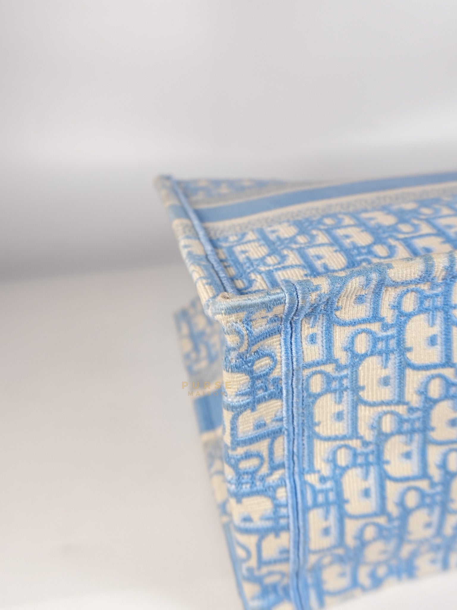 Book Tote Medium Sky Blue Oblique Canvas | Purse Maison Luxury Bags Shop